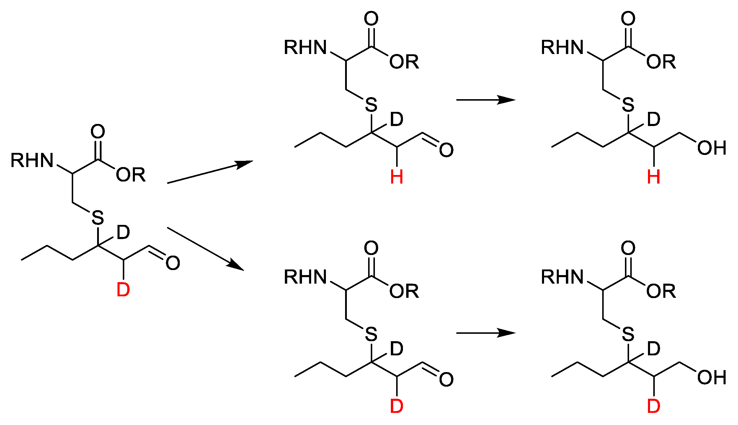 Foods 11 02050 sch005 Foods 11 02050 sch005
