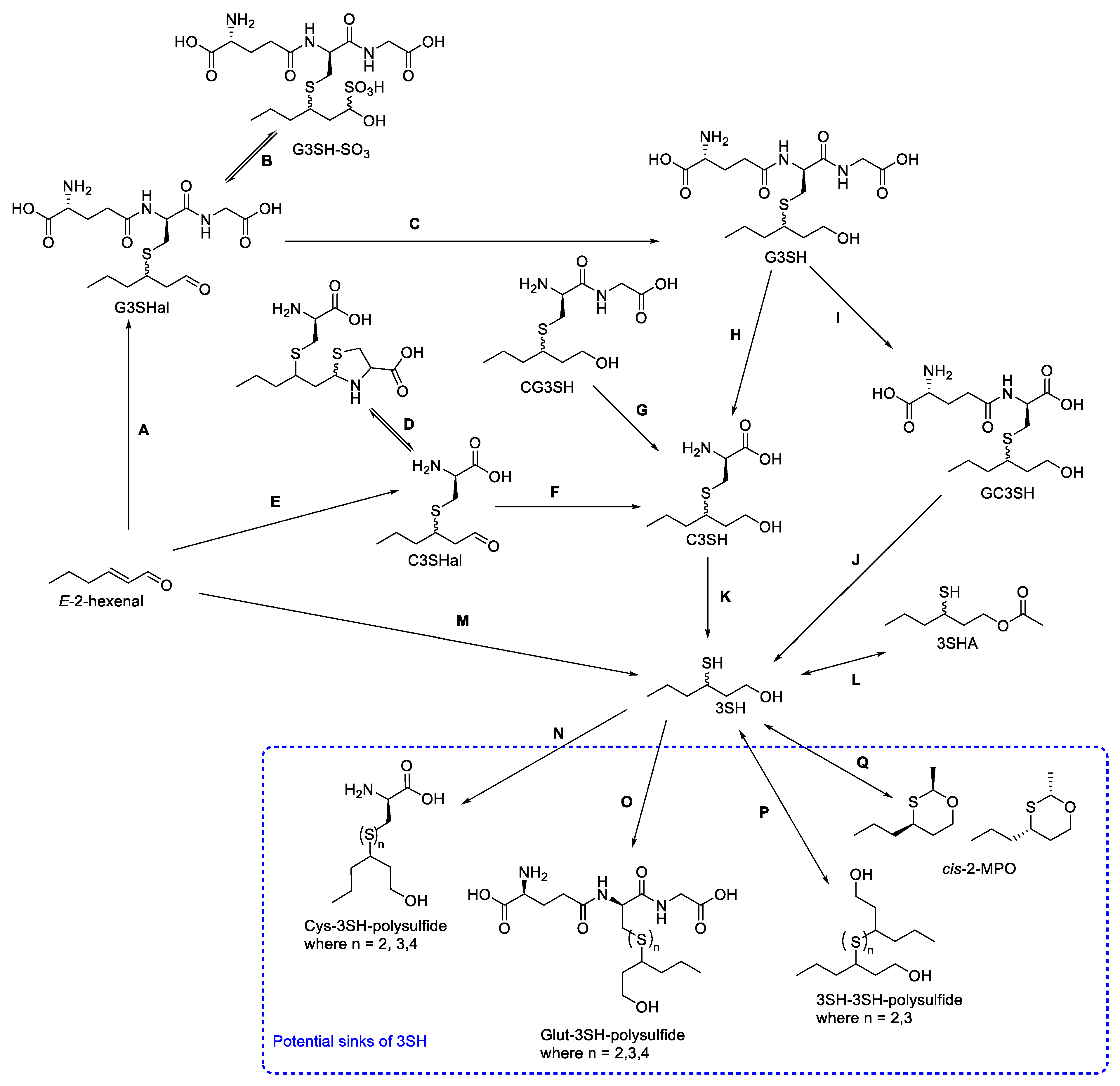 Foods 11 02050 sch006 Foods 11 02050 sch006