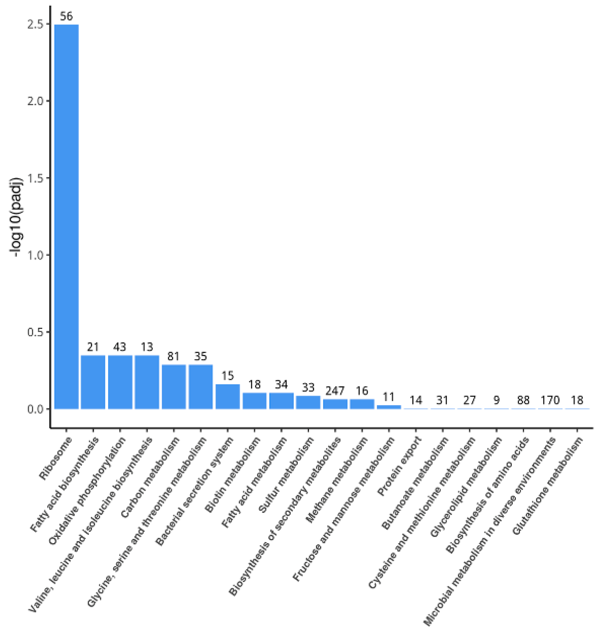 Foods 11 02058 g004 550