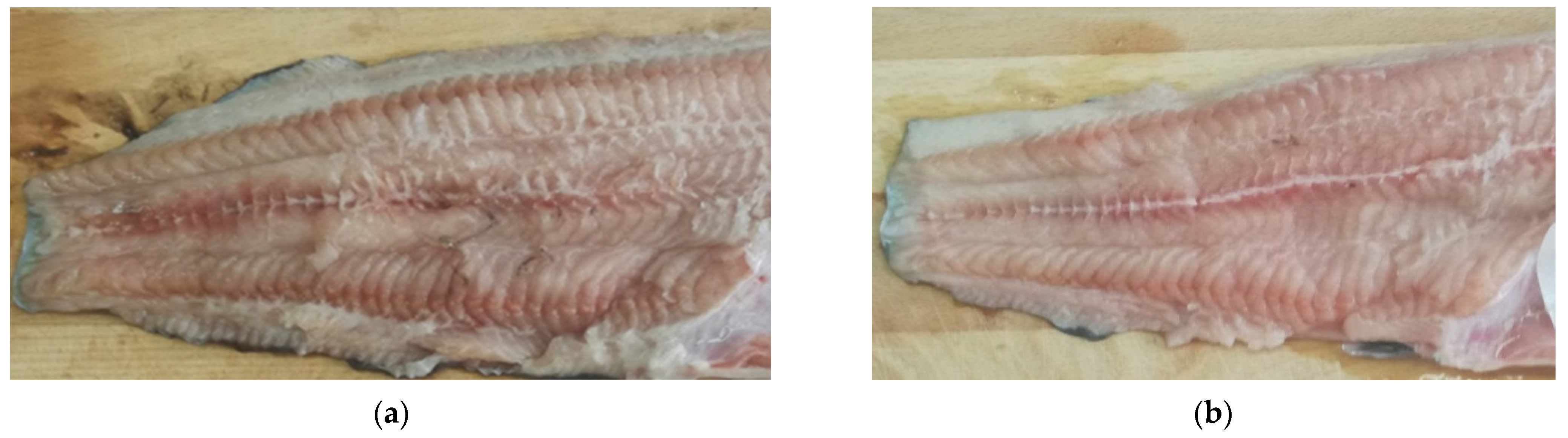 Foods 11 02074 g001 Foods 11 02074 g001