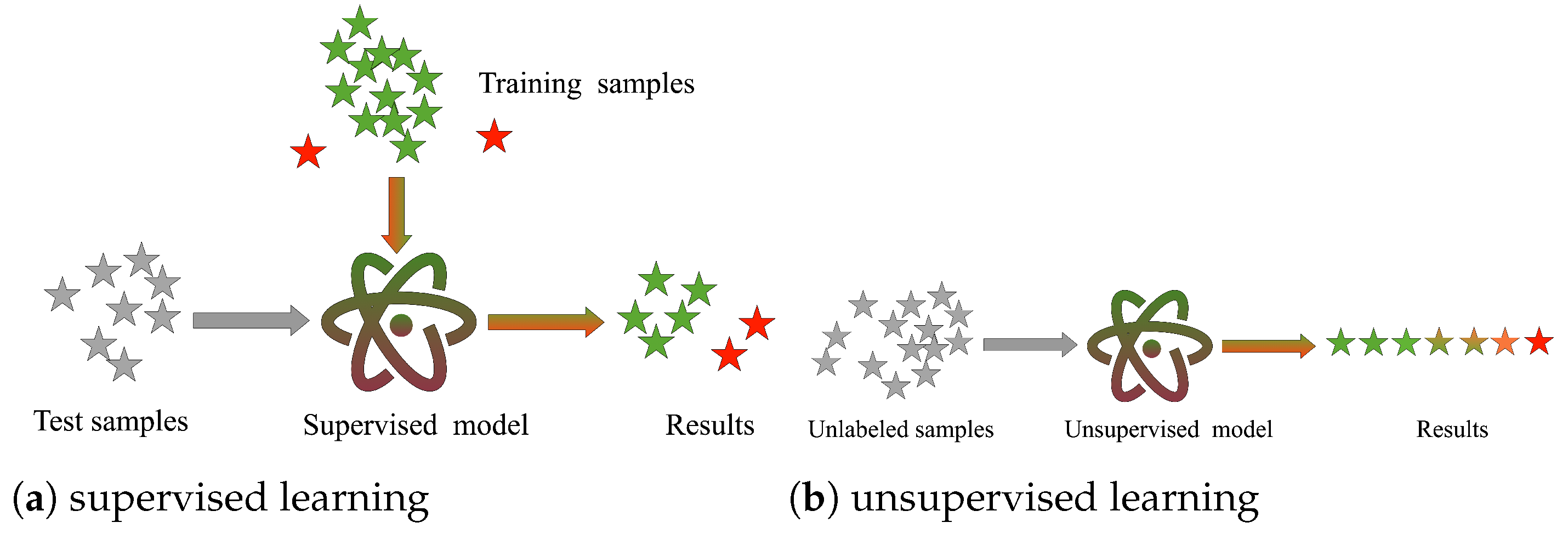 Foods 11 02076 g001 550