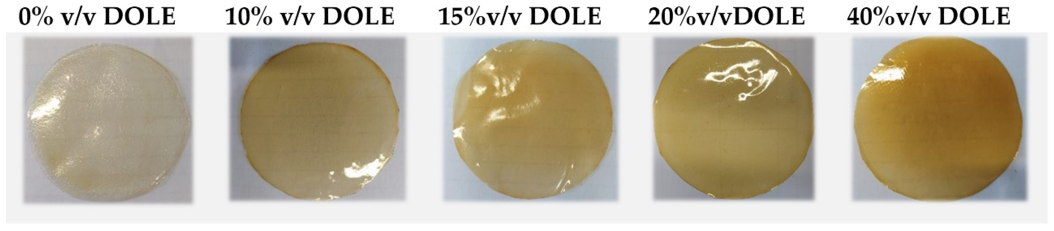 Foods 11 02078 g002 550