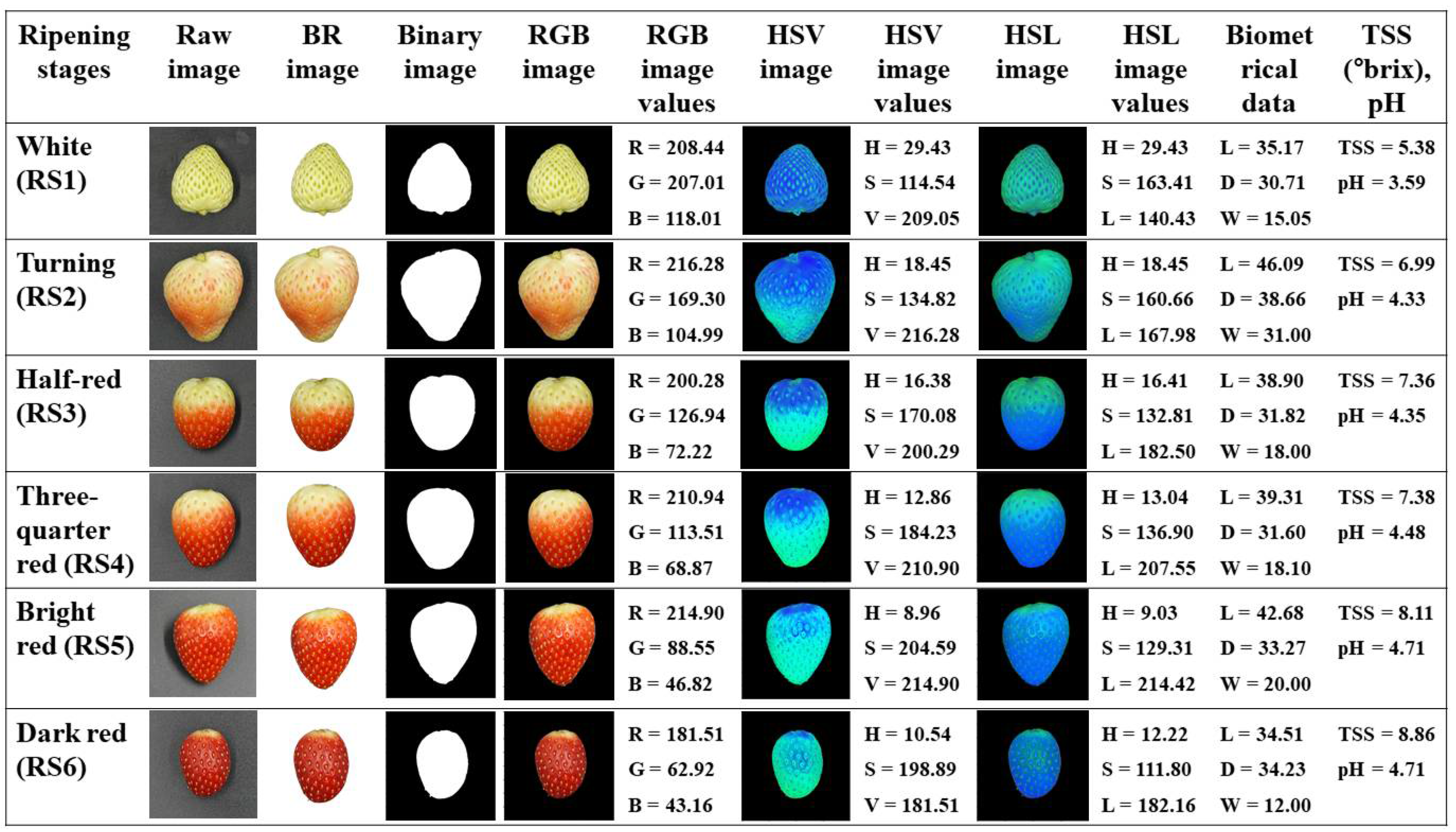 Foods 11 02086 g002 550