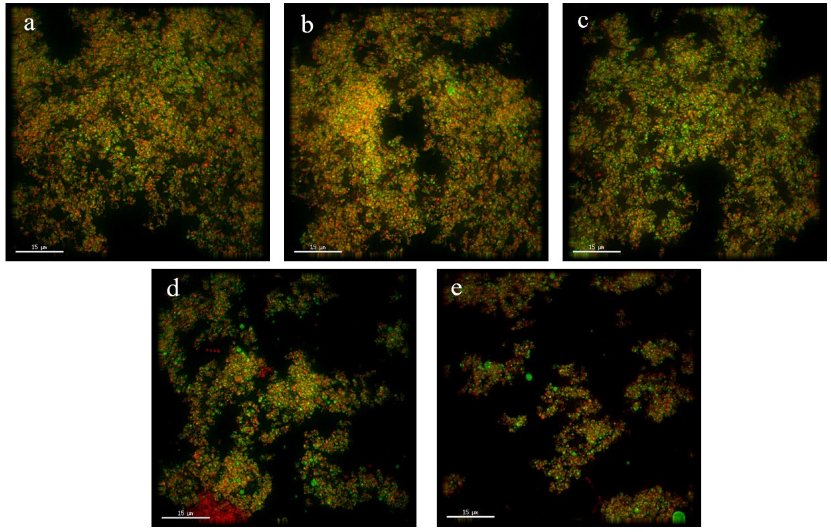 Foods 11 02088 g003 550
