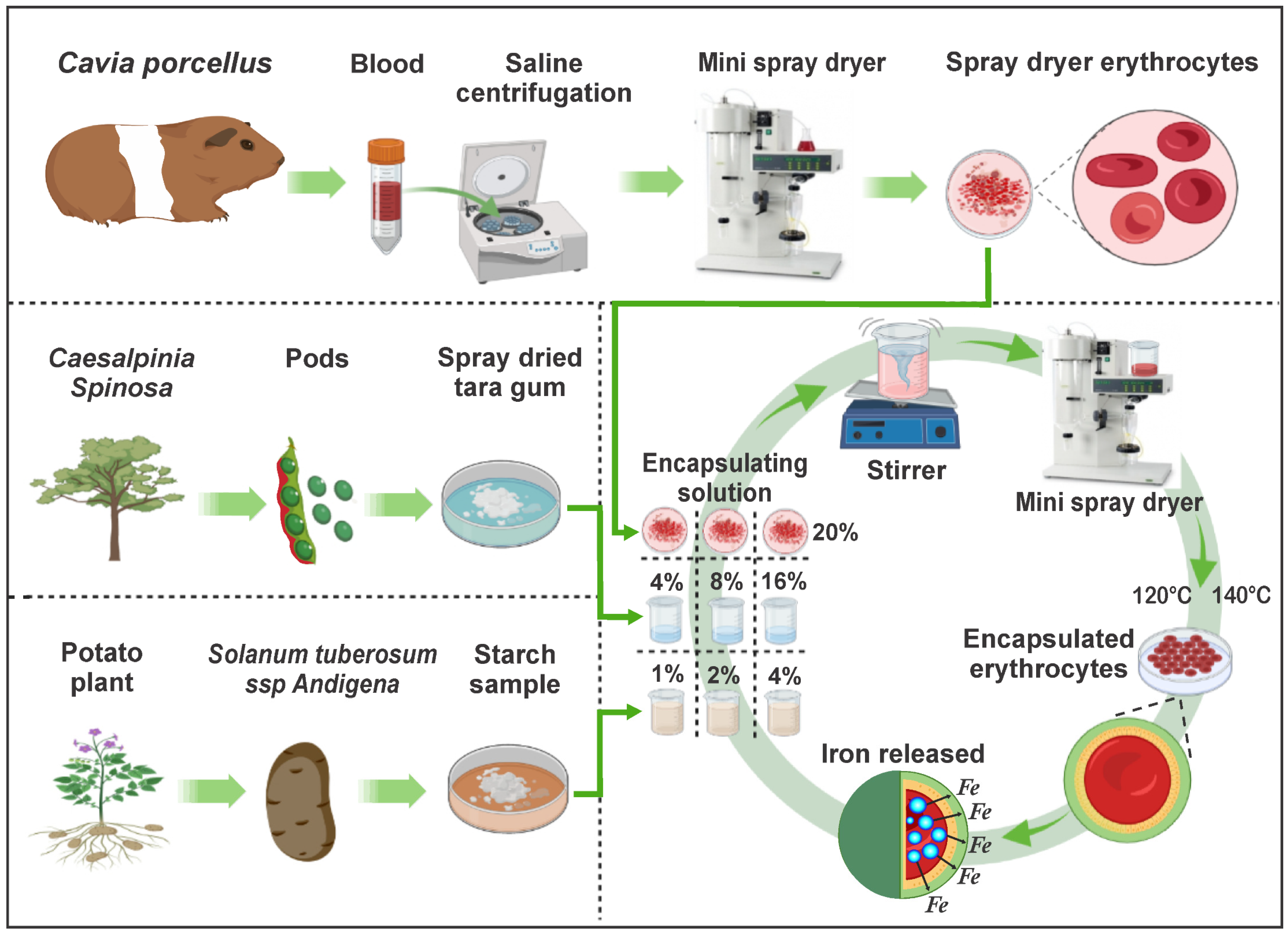 Foods 11 02107 g001 Foods 11 02107 g001