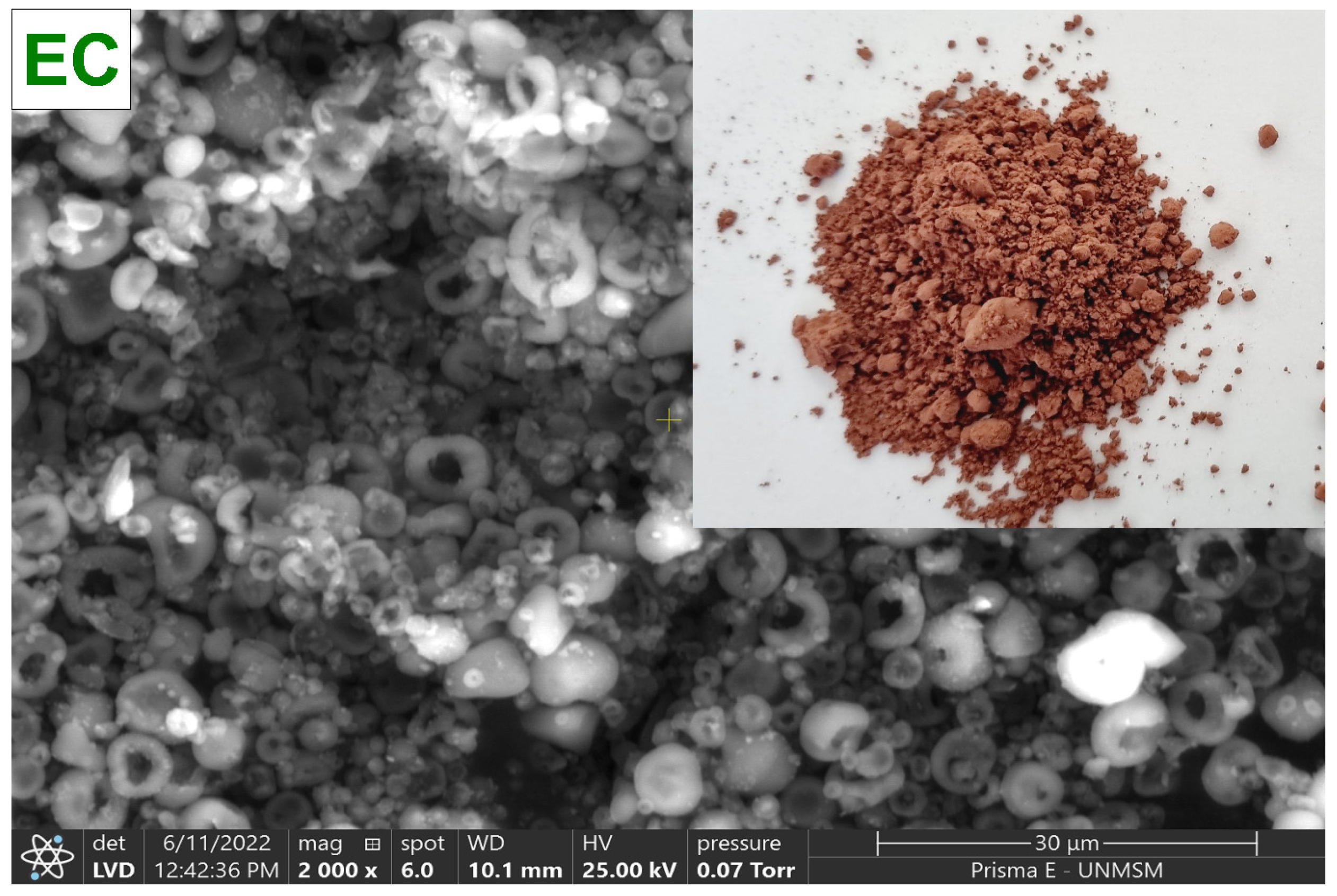 Foods 11 02107 g002 Foods 11 02107 g002