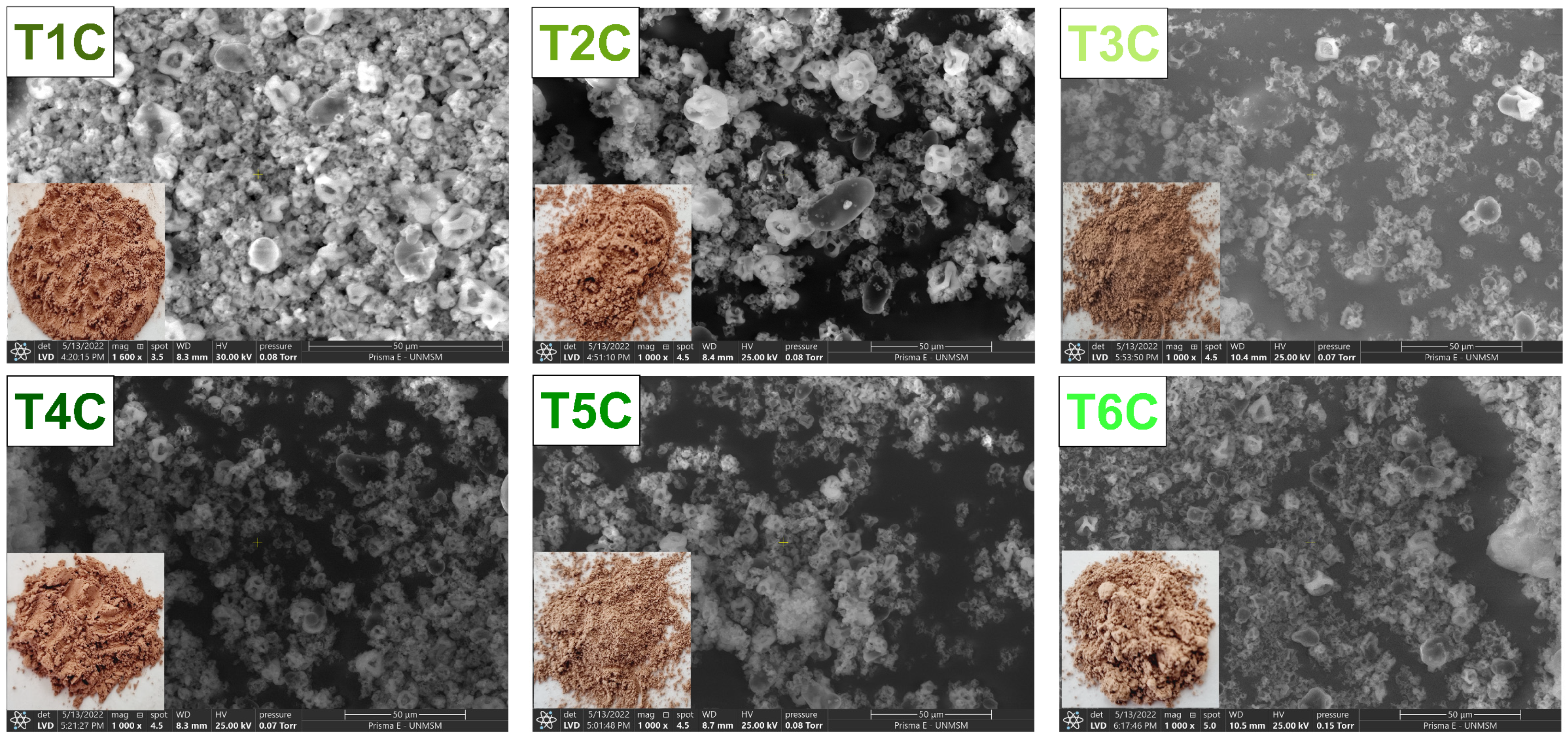 Foods 11 02107 g005 Foods 11 02107 g005
