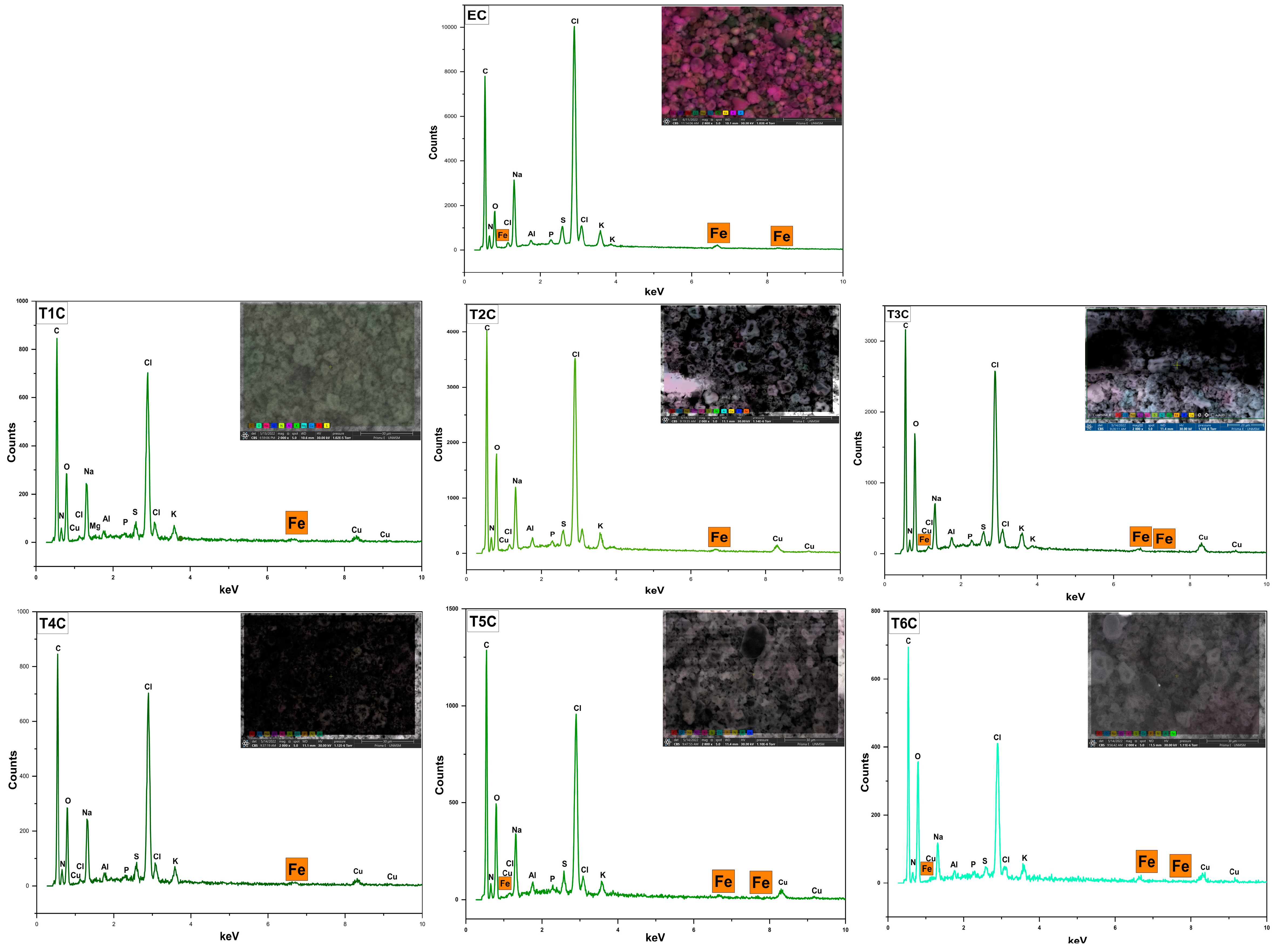 Foods 11 02107 g006 Foods 11 02107 g006