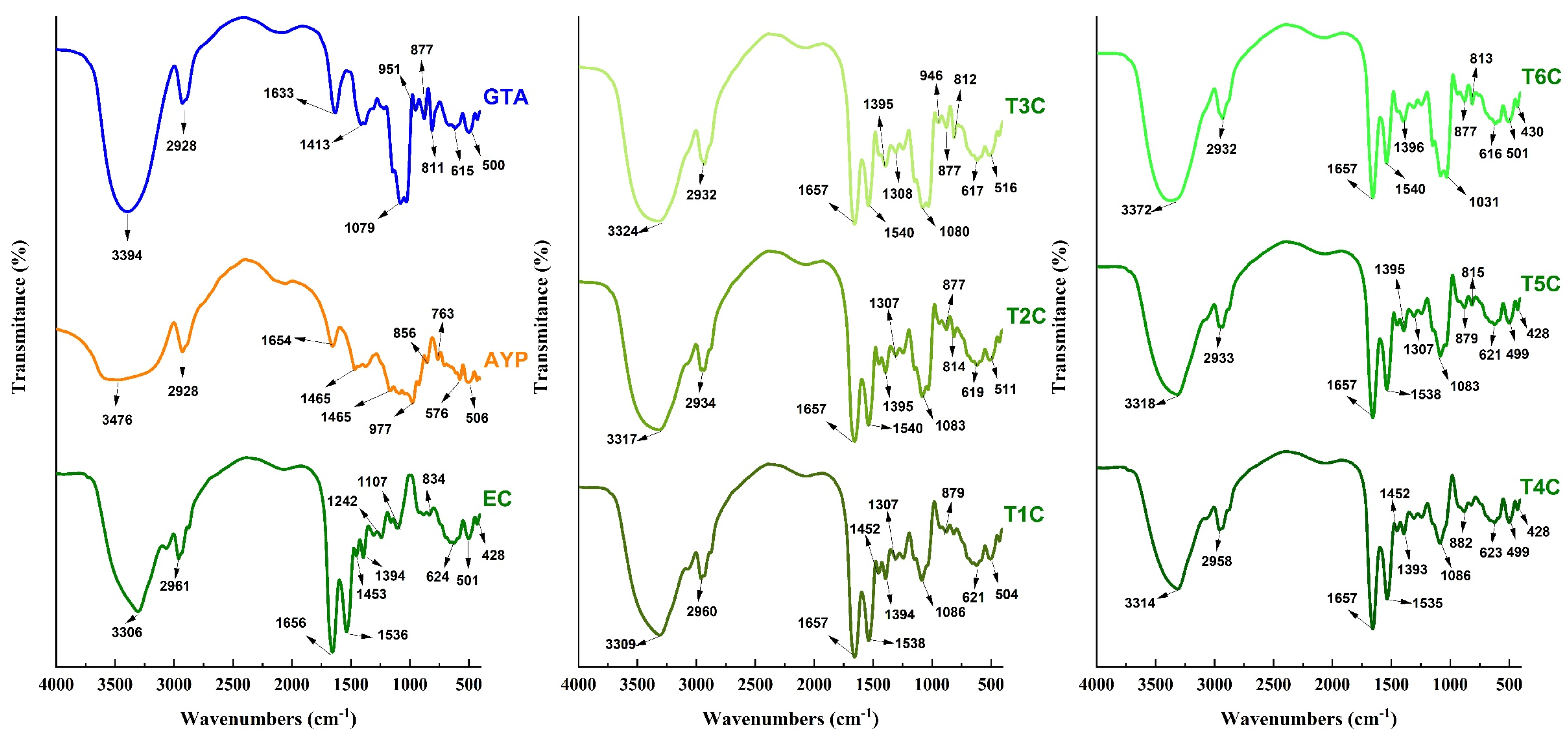 Foods 11 02107 g007 Foods 11 02107 g007