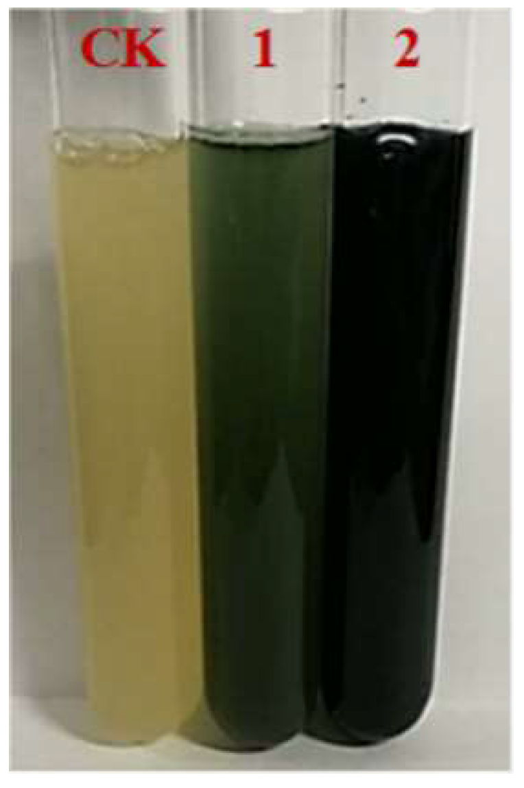 Foods 11 02117 g002 550