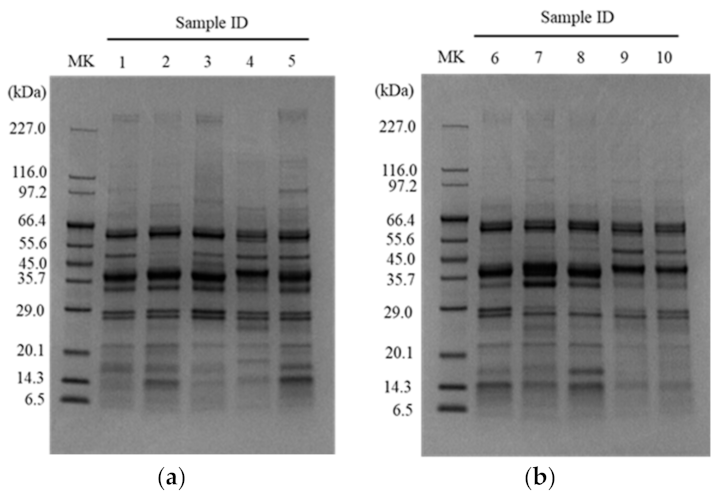 Foods 11 02123 g002 550