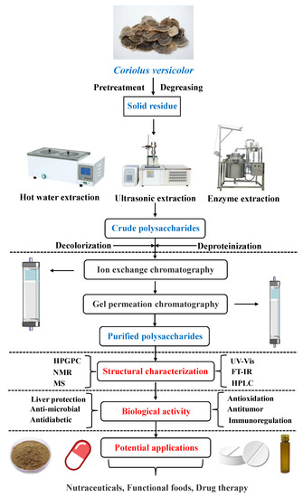 Research Progress on the Extraction, Structure, and