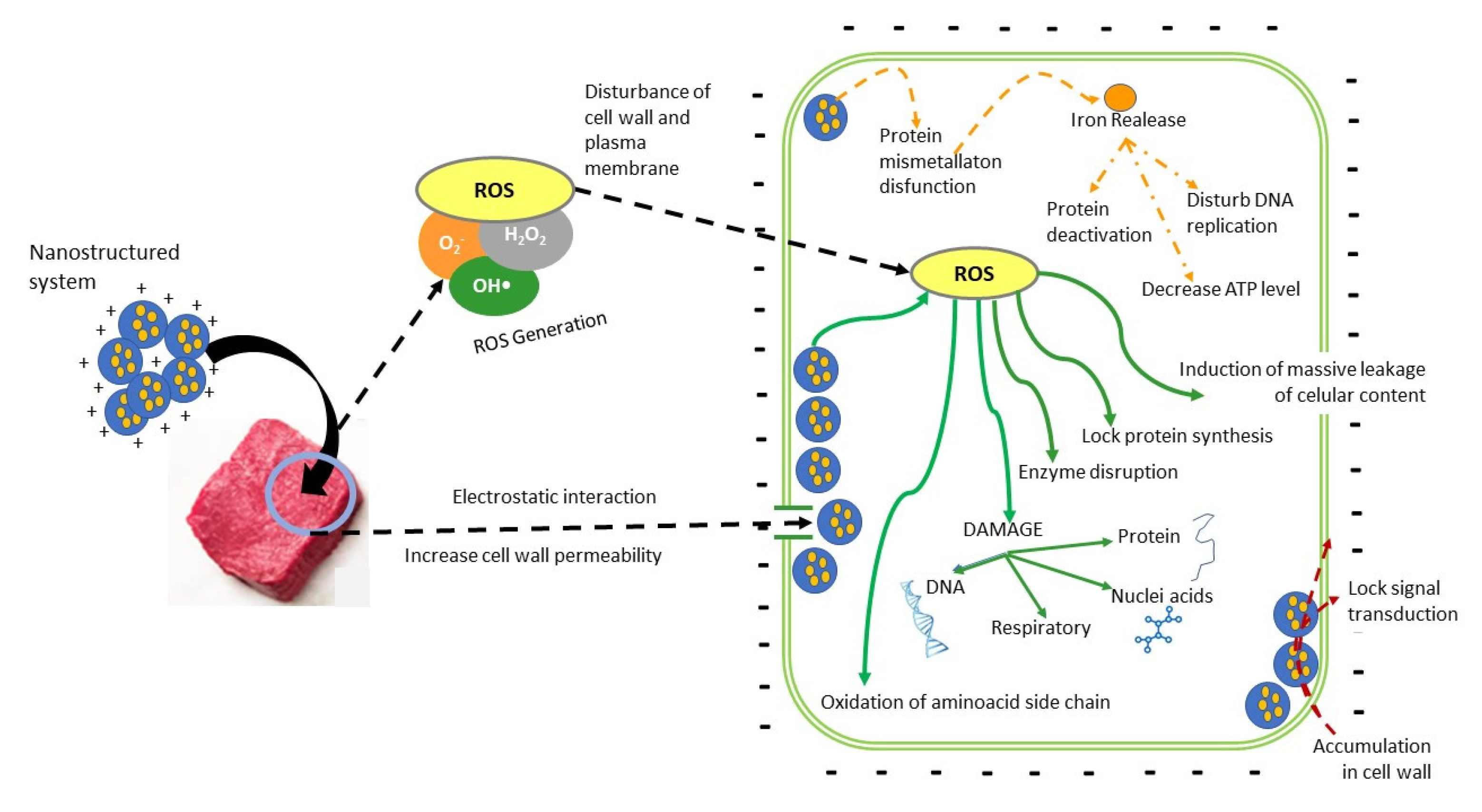 Foods 11 02150 g003 550