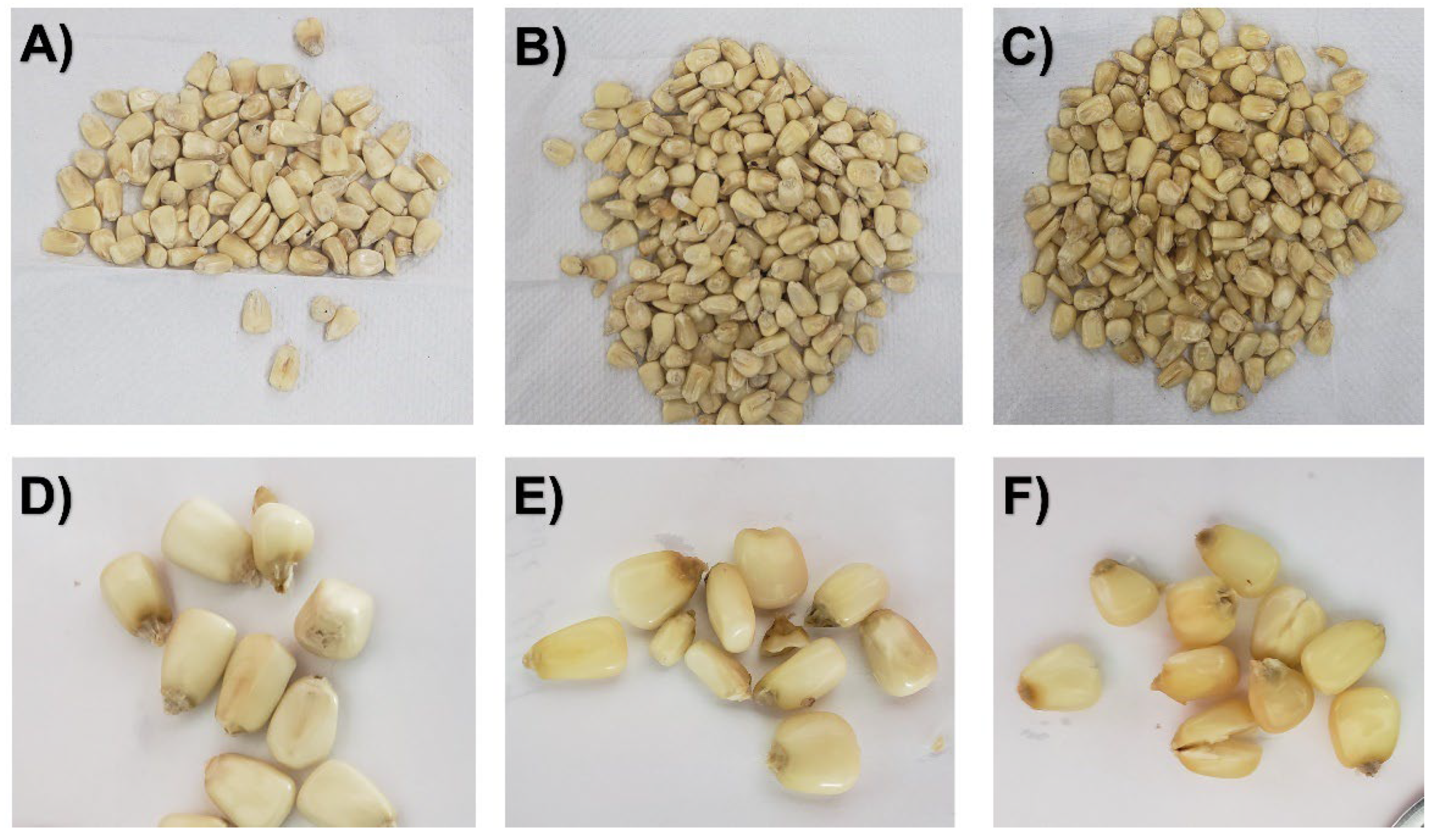 Foods 11 02151 g006 Foods 11 02151 g006