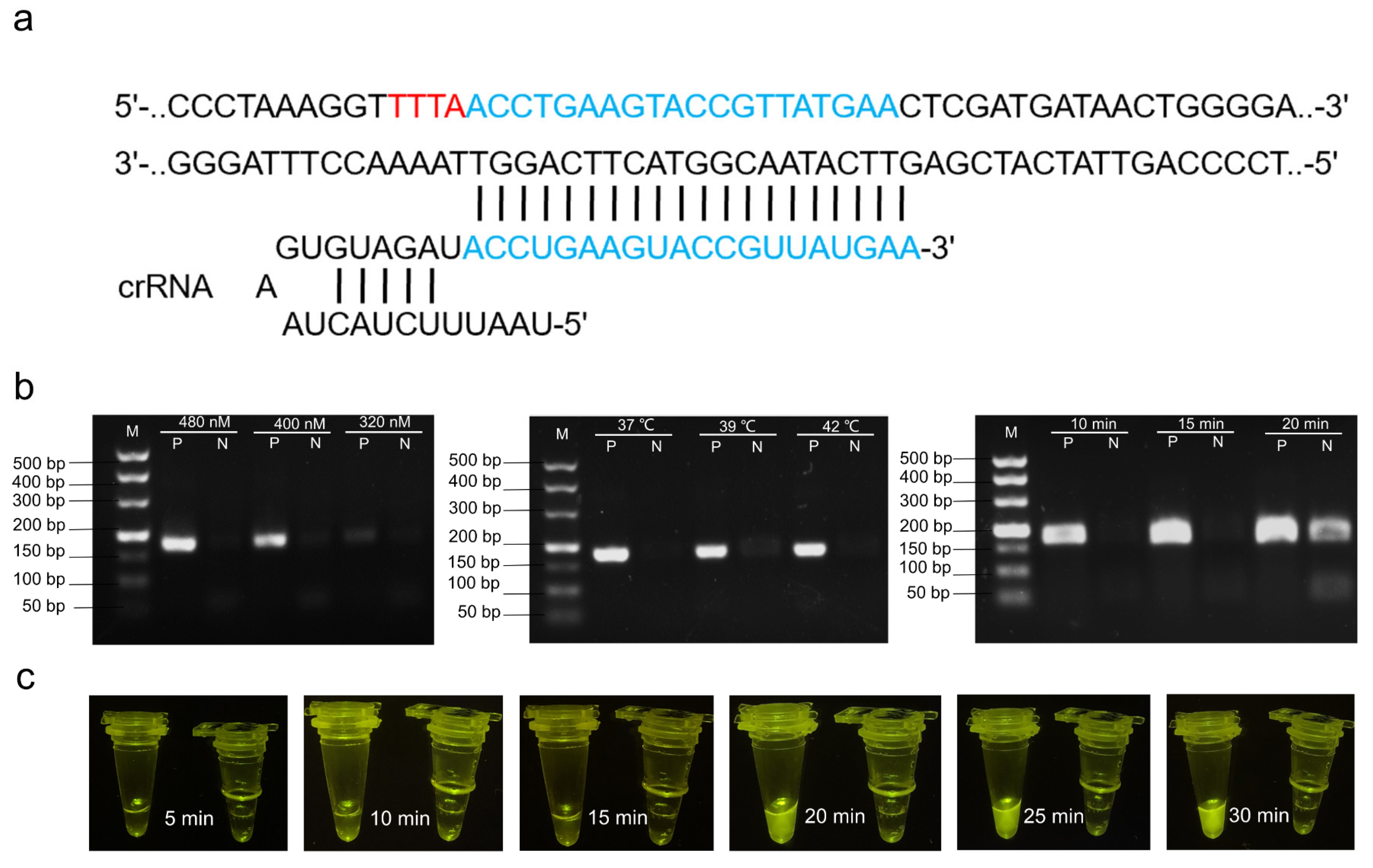 Foods 11 02160 g002 550