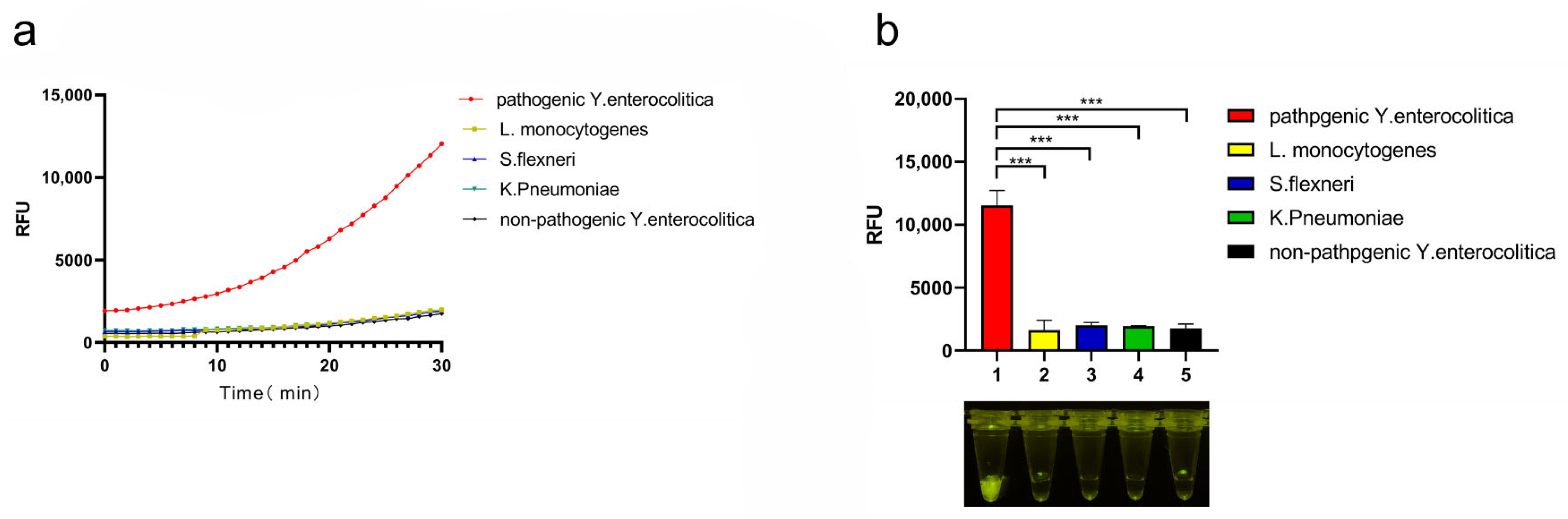 Foods 11 02160 g003 550