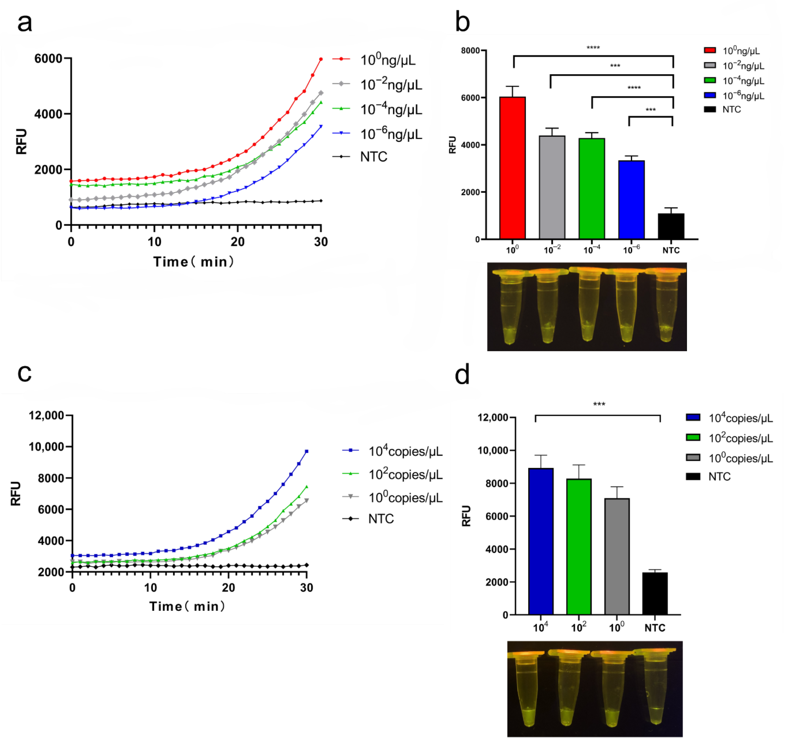 Foods 11 02160 g004 550