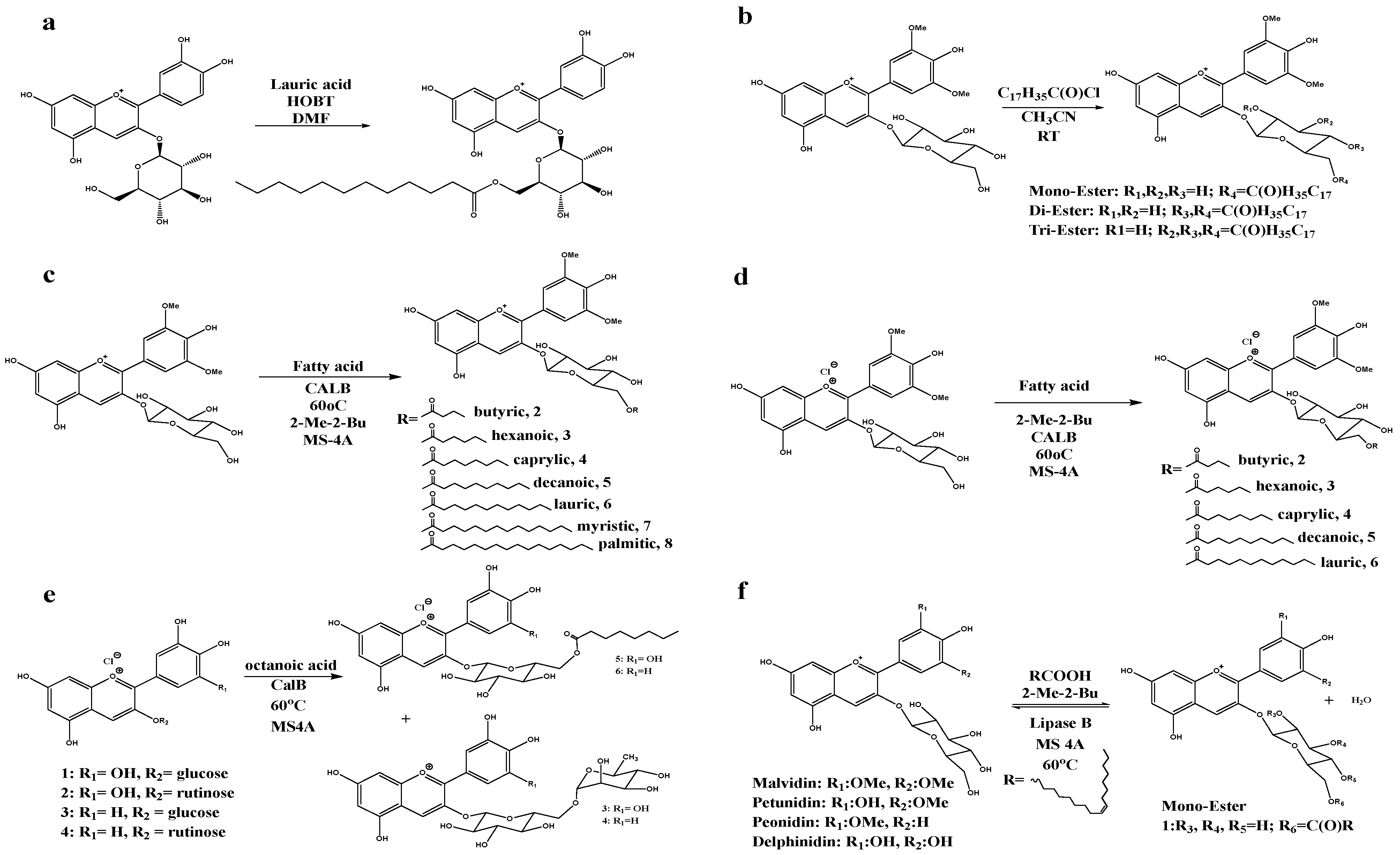 Foods 11 02166 g003 550
