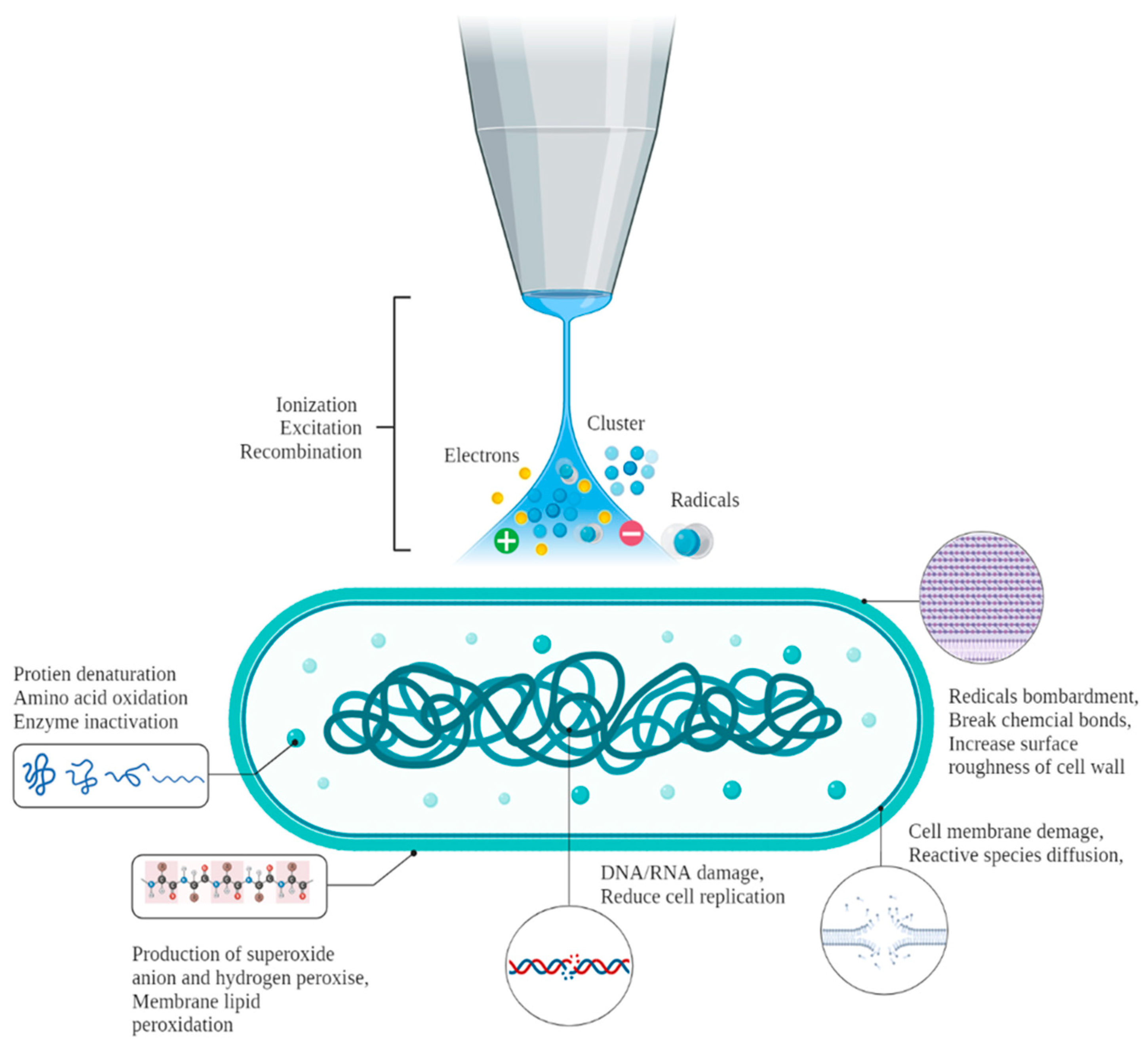 Foods 11 02173 g002 Foods 11 02173 g002