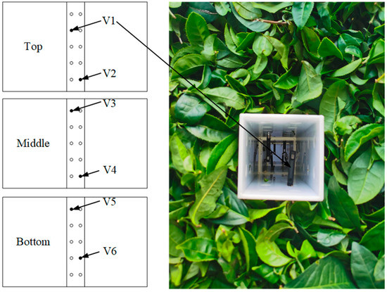 Numerical Analysis on Heat Characteristics of the