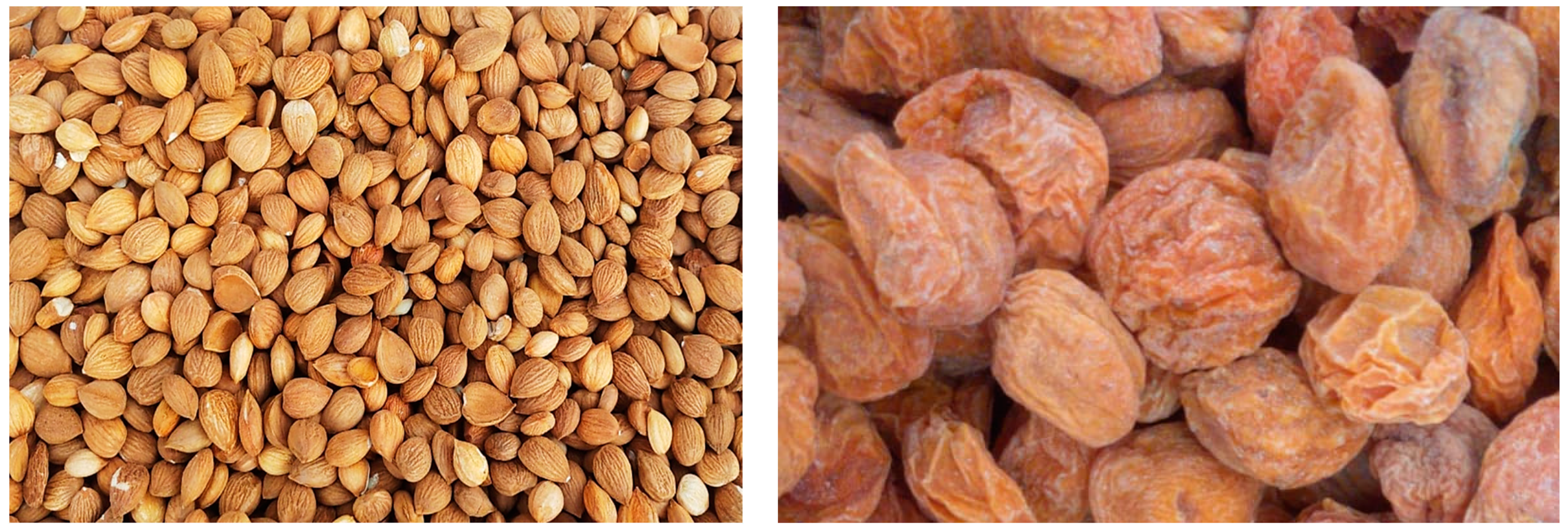 Foods 11 02184 g001 550