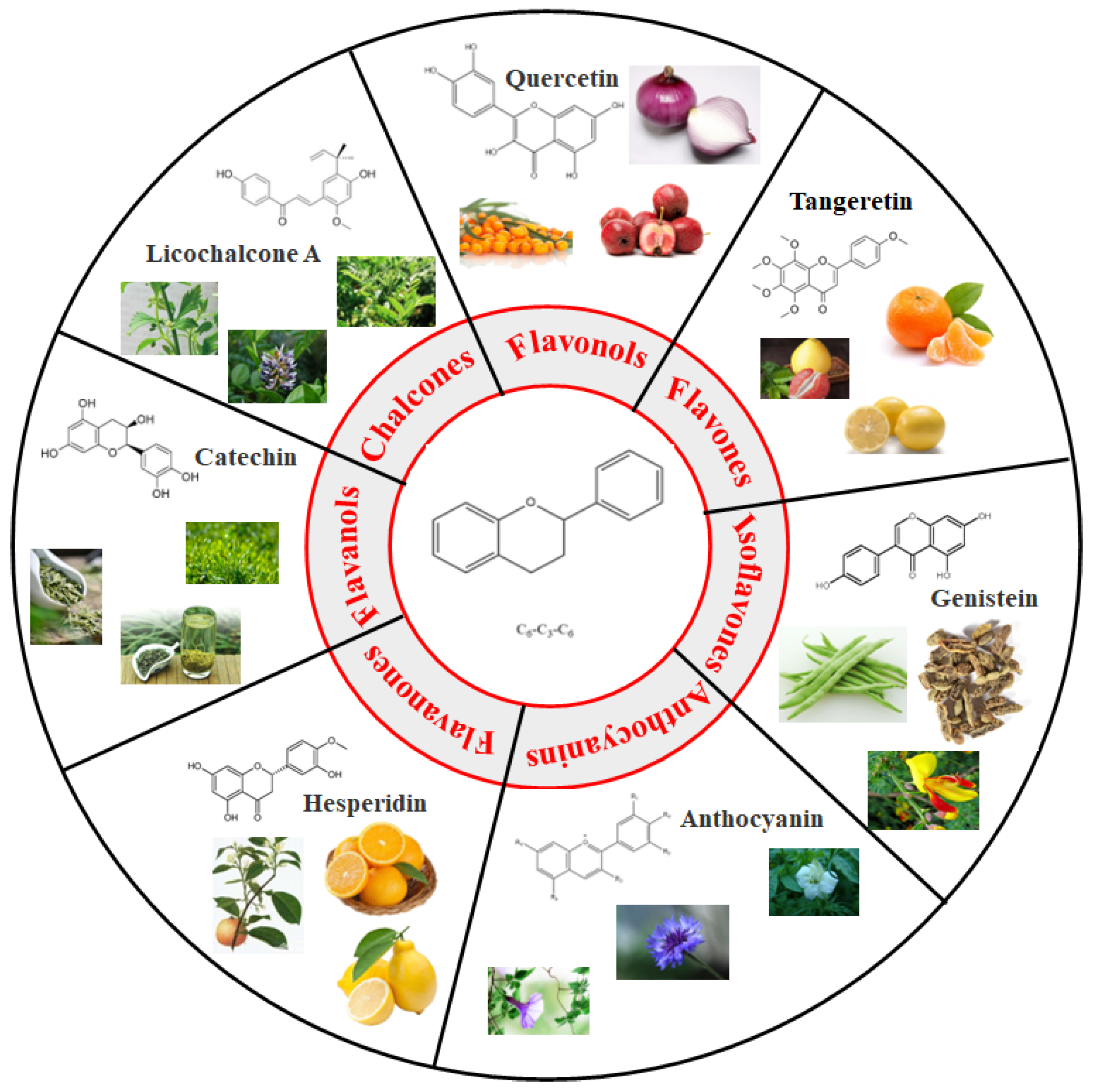 Foods Free FullText Polyphenols as PlantBased Nutraceuticals