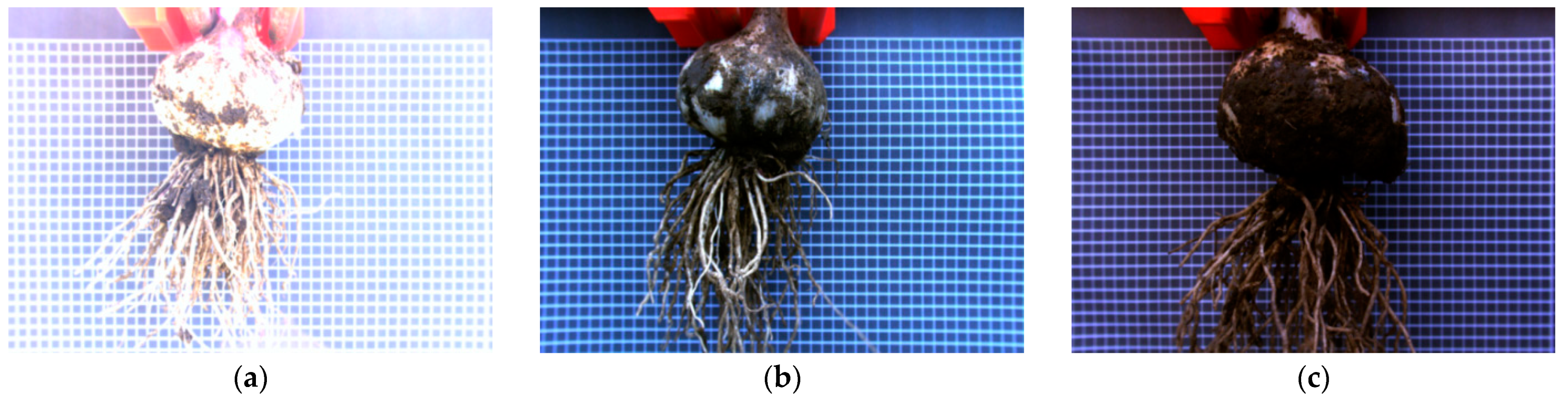 Foods 11 02197 g001b 550