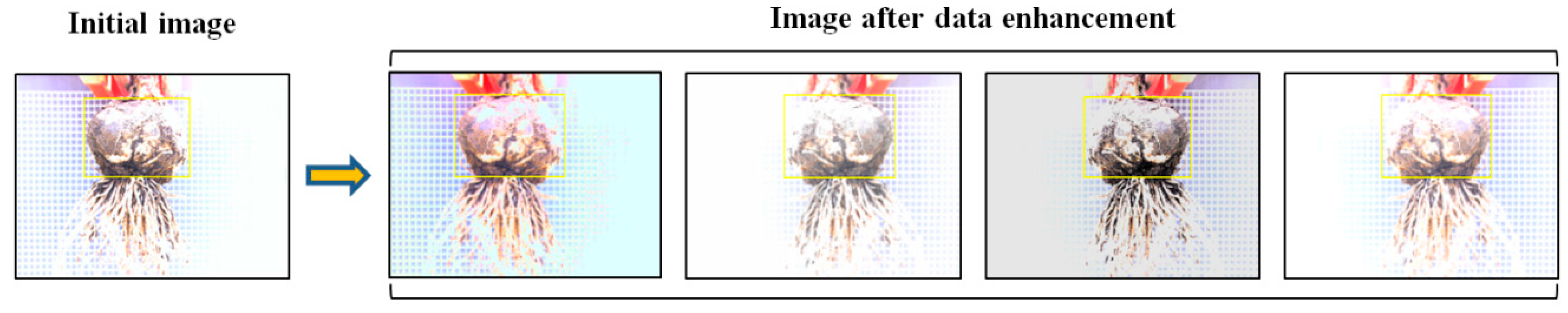 Foods 11 02197 g006 550