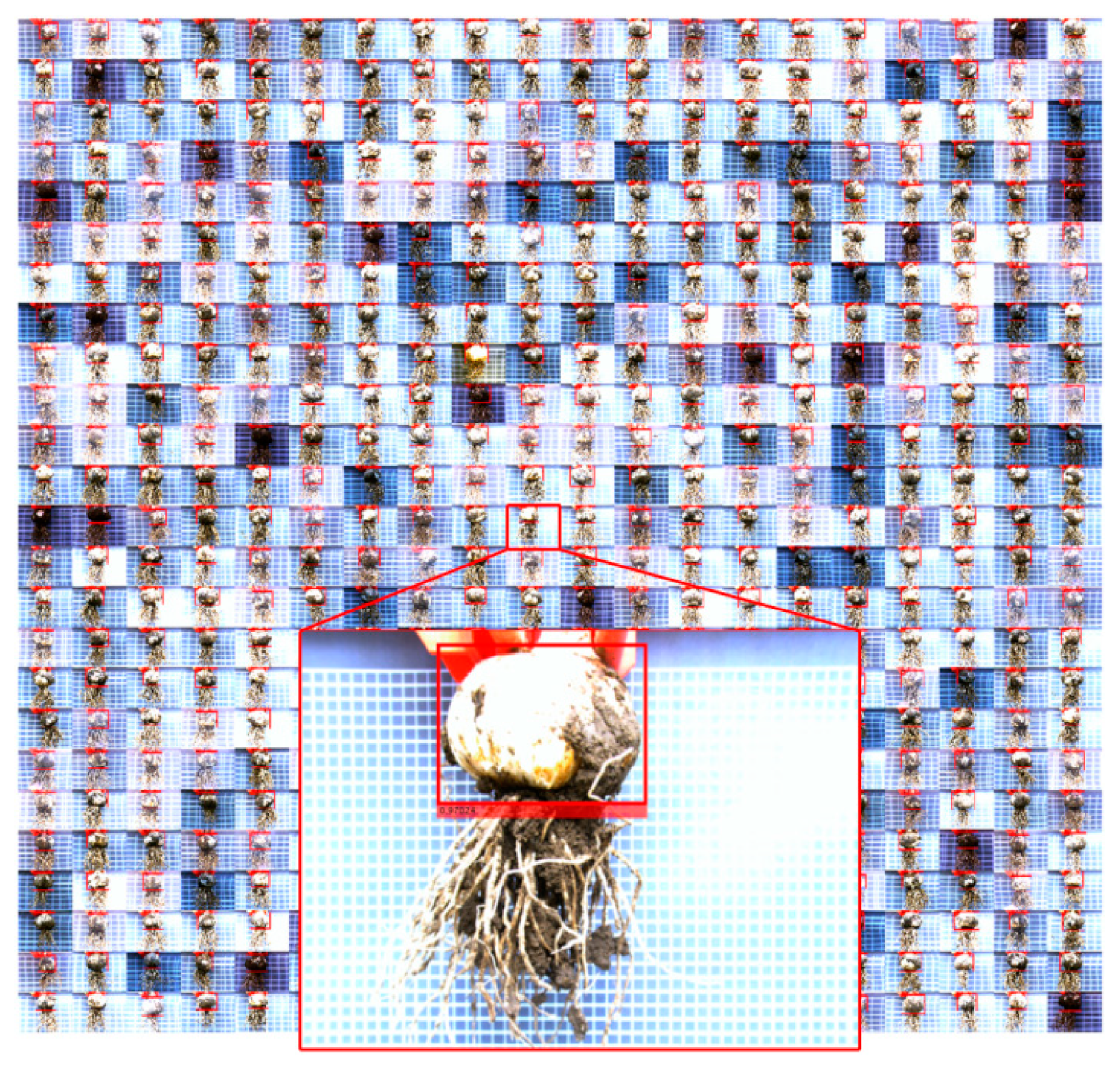 Foods 11 02197 g012 550