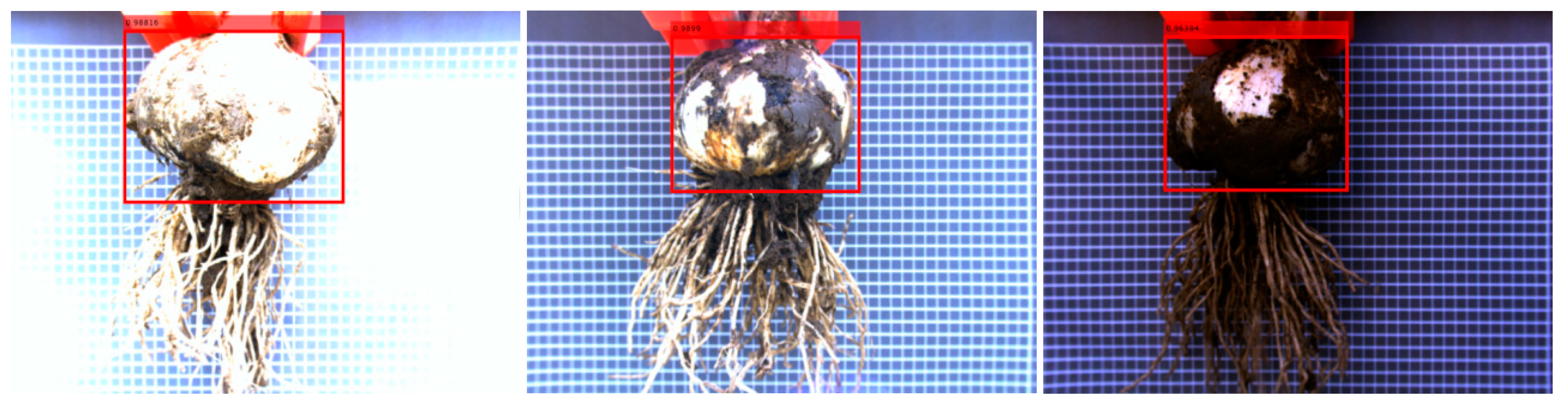 Foods 11 02197 g013 550