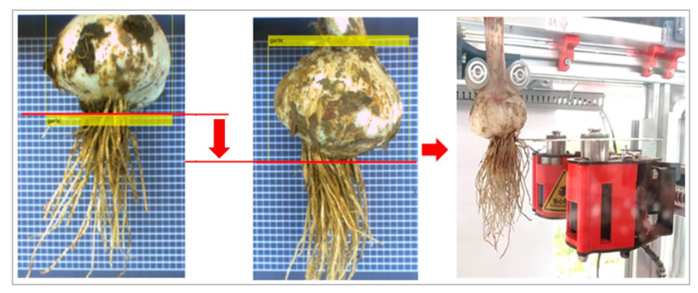 Foods 11 02197 g015 550