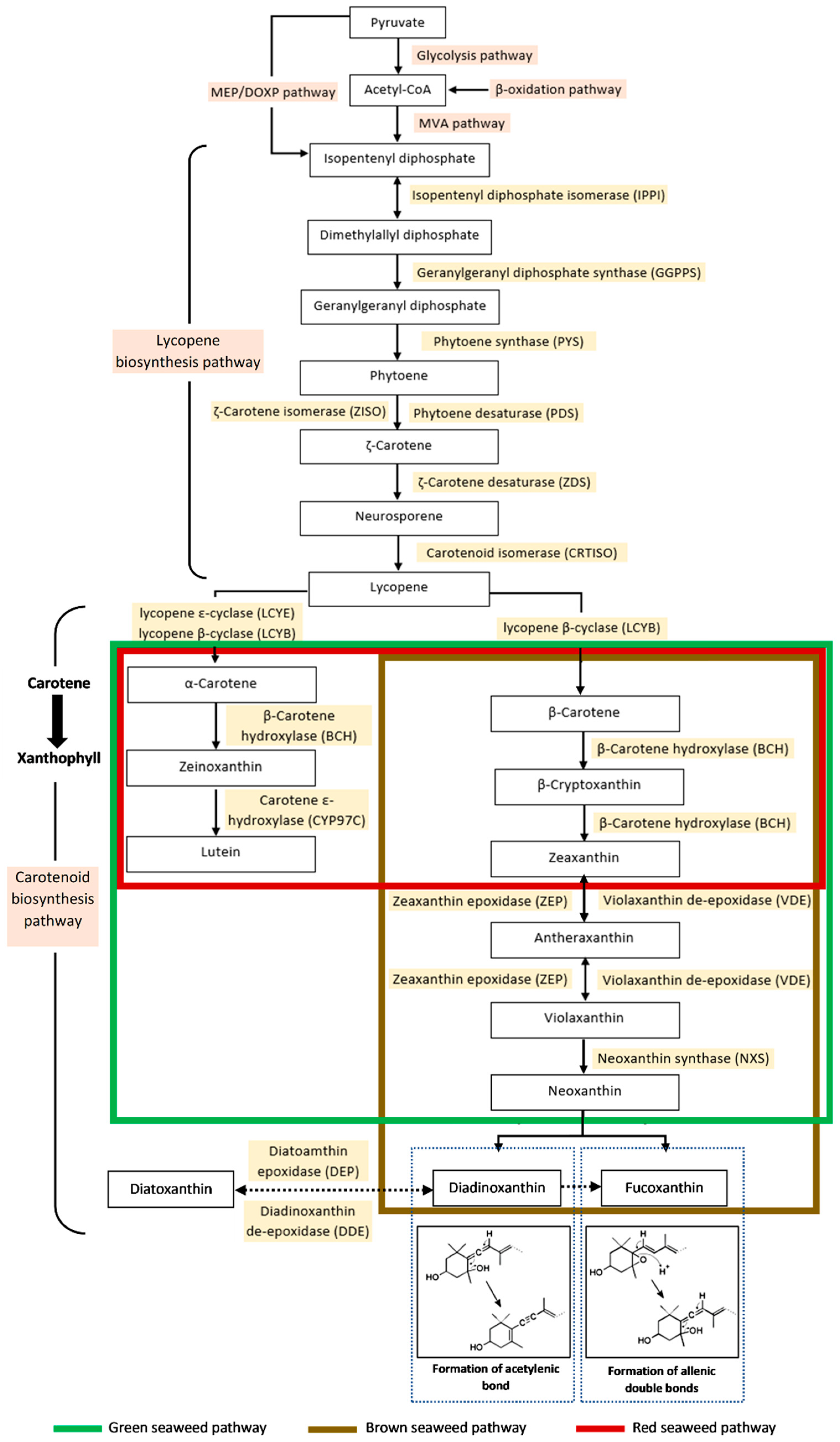 Foods 11 02235 g003 550