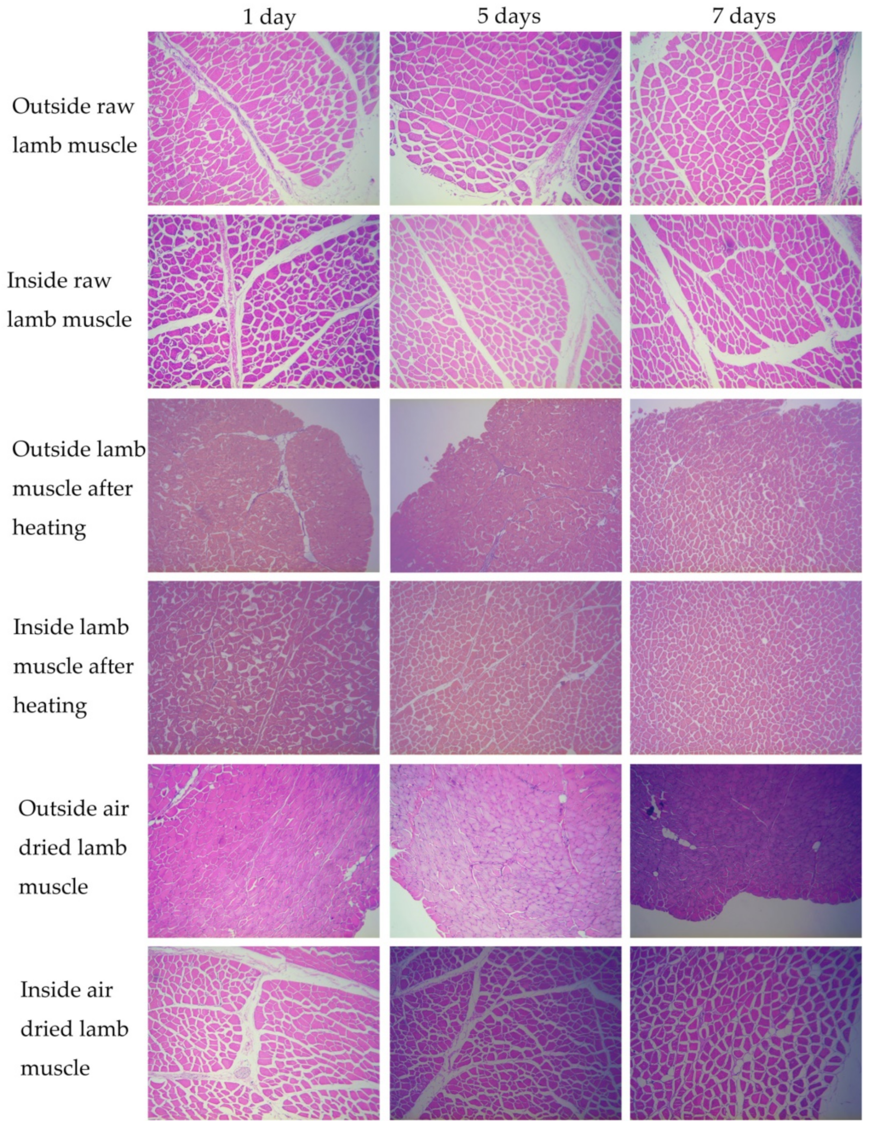 Foods 11 02242 g001 550