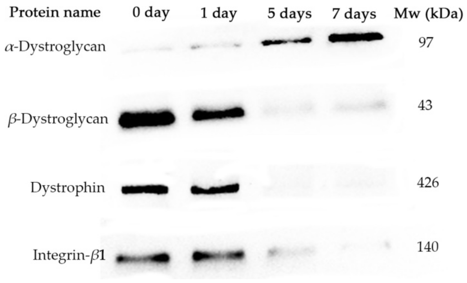 Foods 11 02242 g002 550