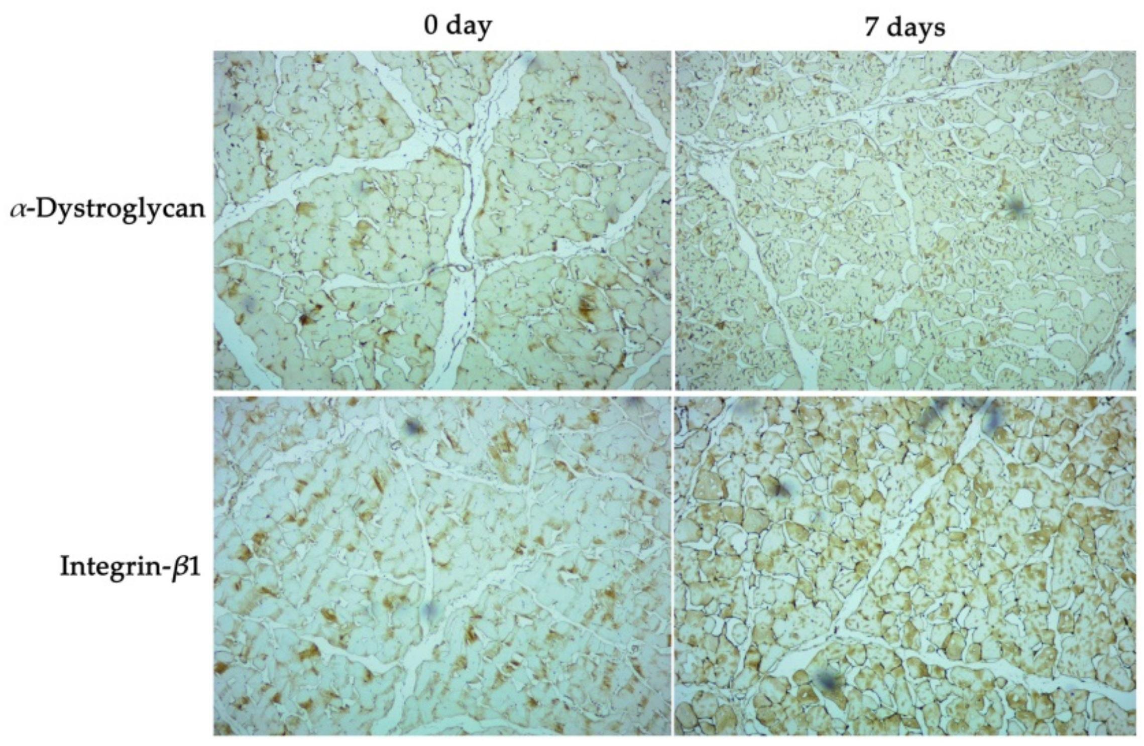 Foods 11 02242 g004 550