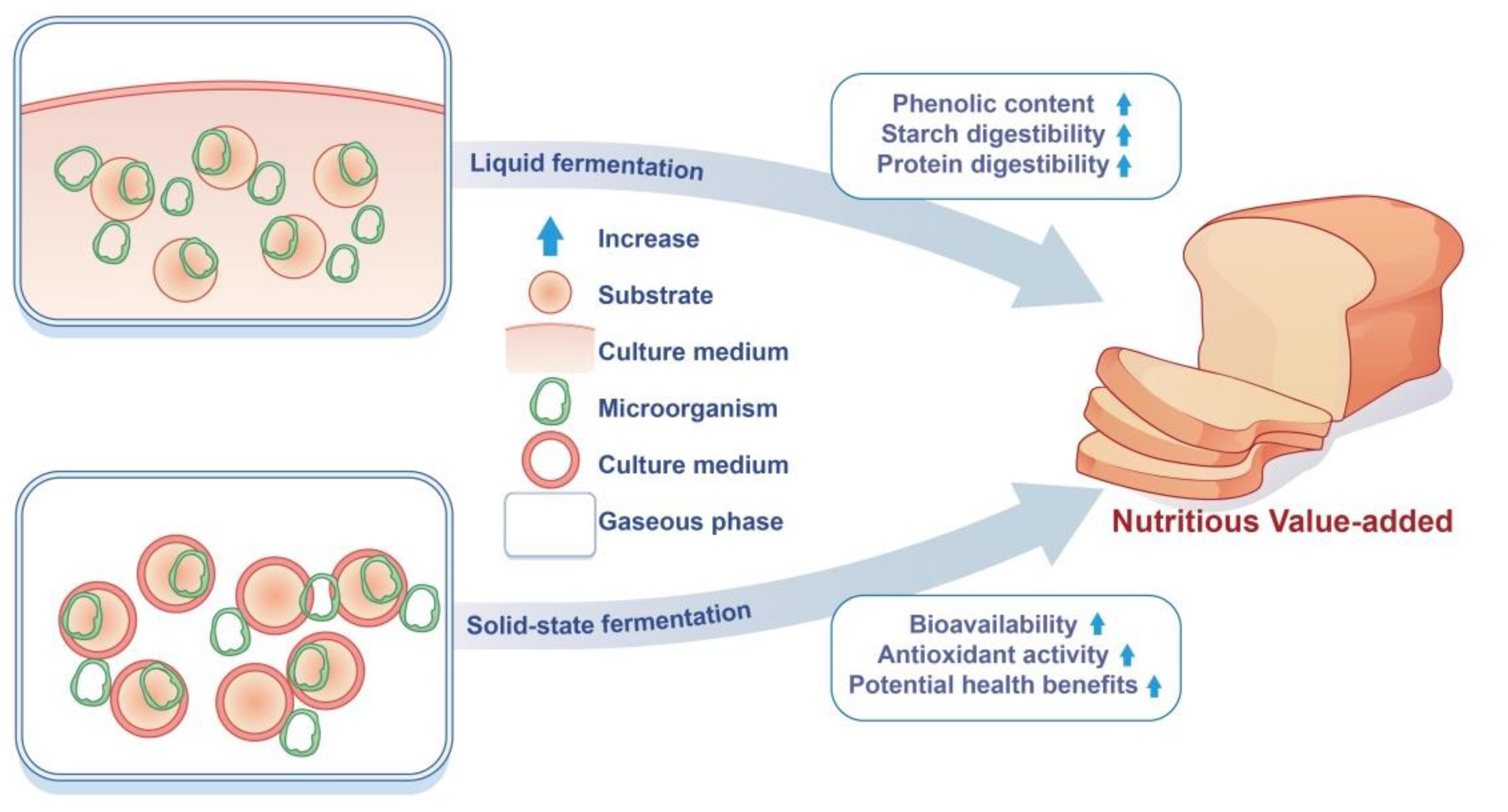 Food Fermentation: Benefits, Safety, Food List, and More