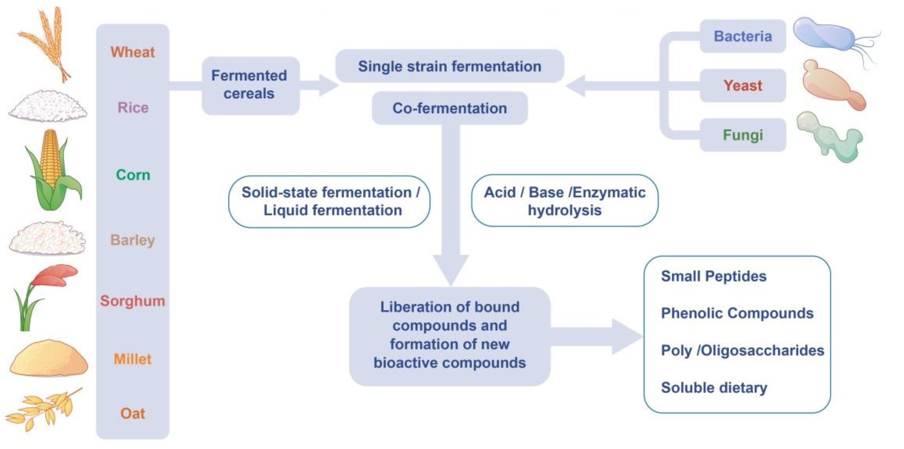 Foods 11 02243 g002 Foods 11 02243 g002