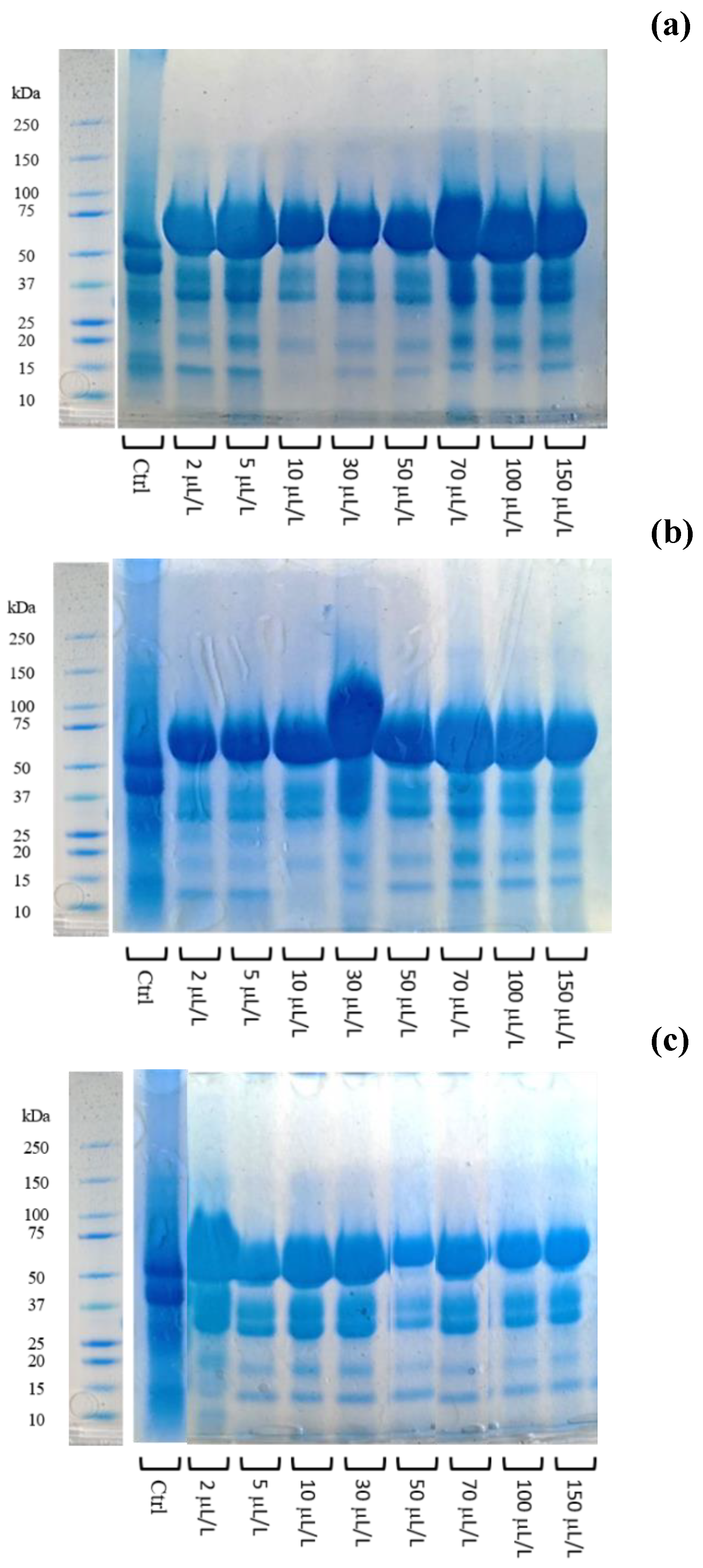 Foods 11 02246 g006 550
