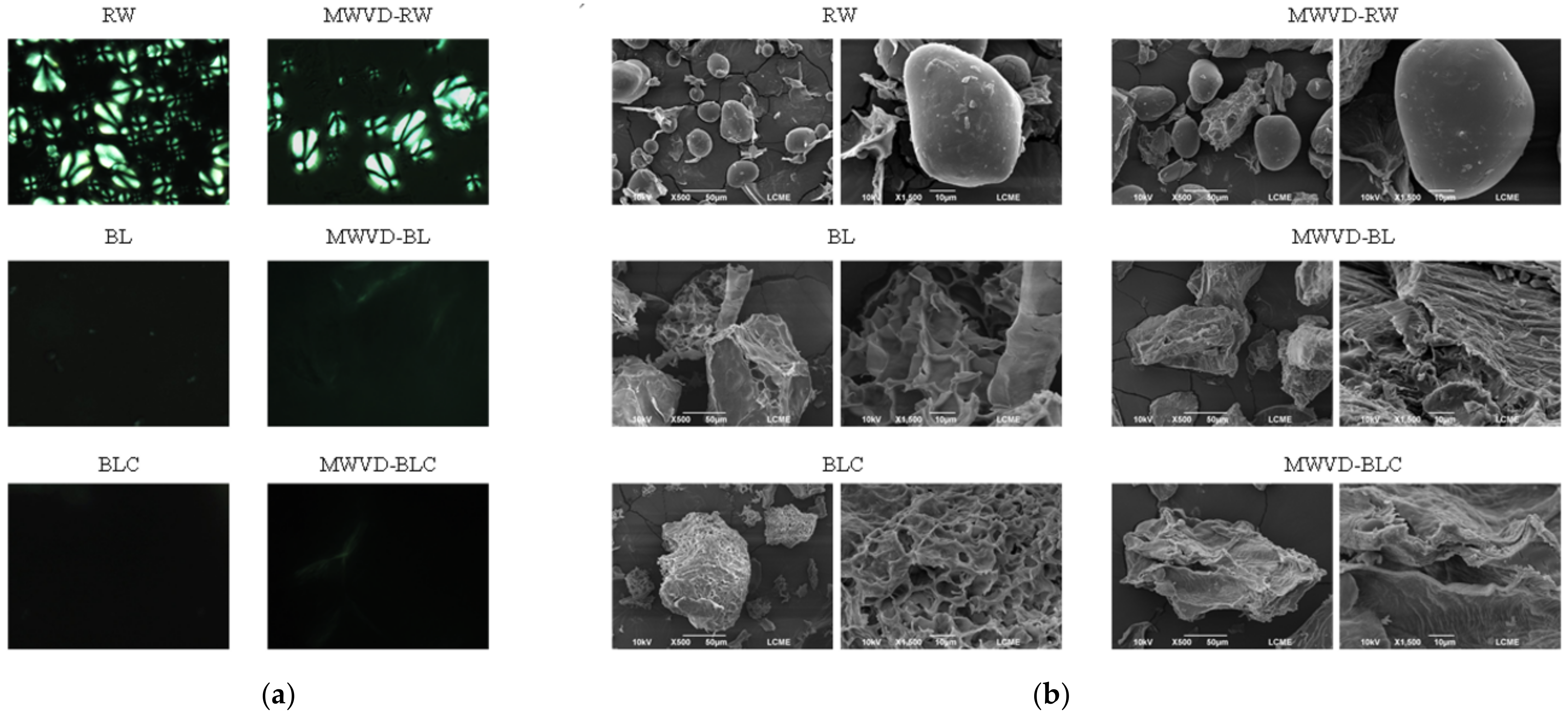 Foods 11 02259 g004 550