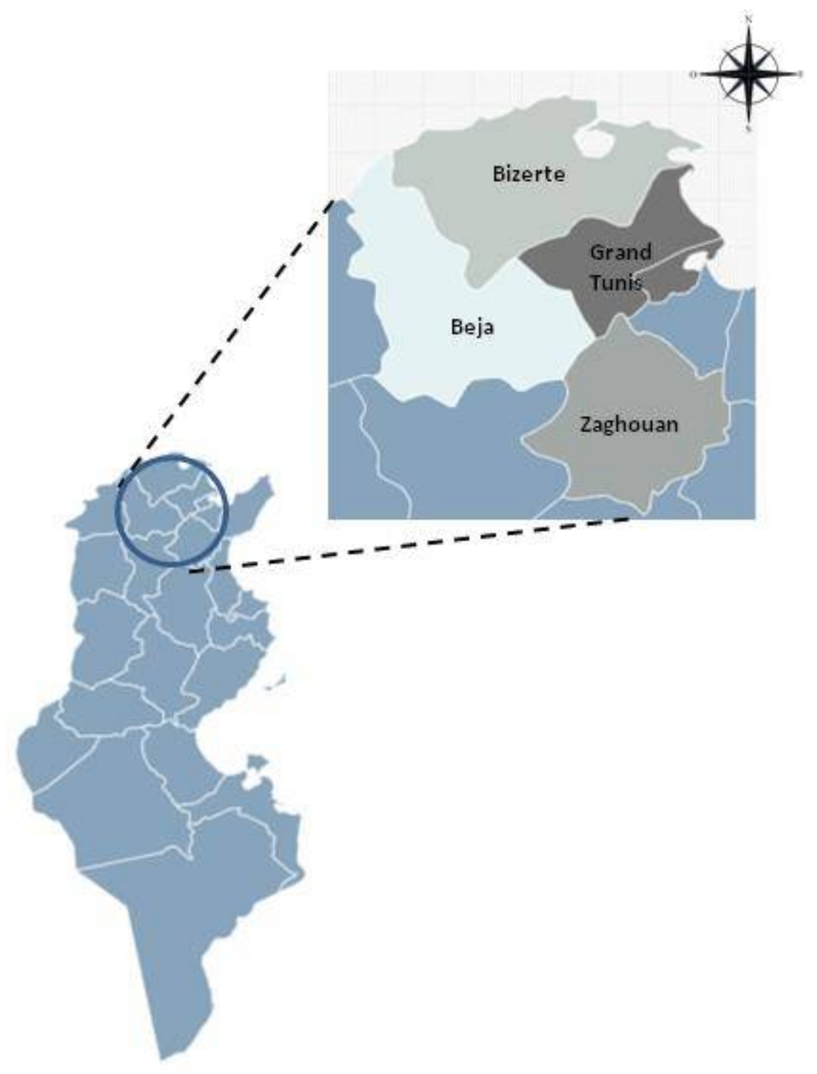 Foods 11 02269 g001 Foods 11 02269 g001