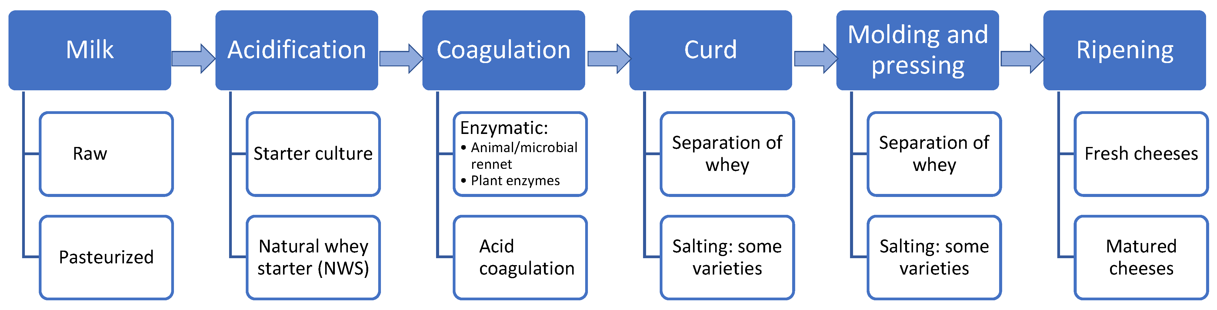 Foods Free FullText Lactic Acid Bacteria in RawMilk Cheeses From