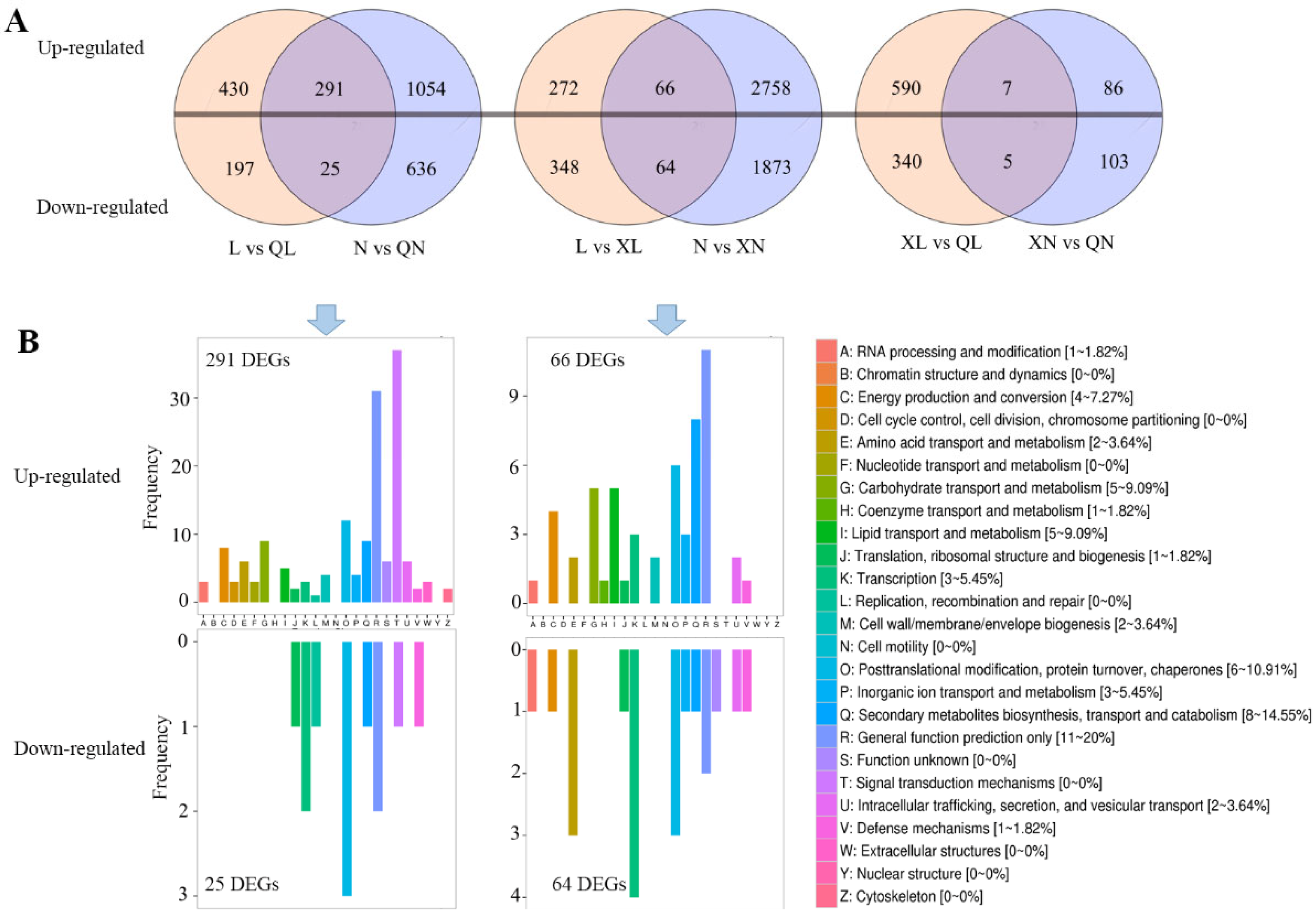 Foods 11 02289 g002 550