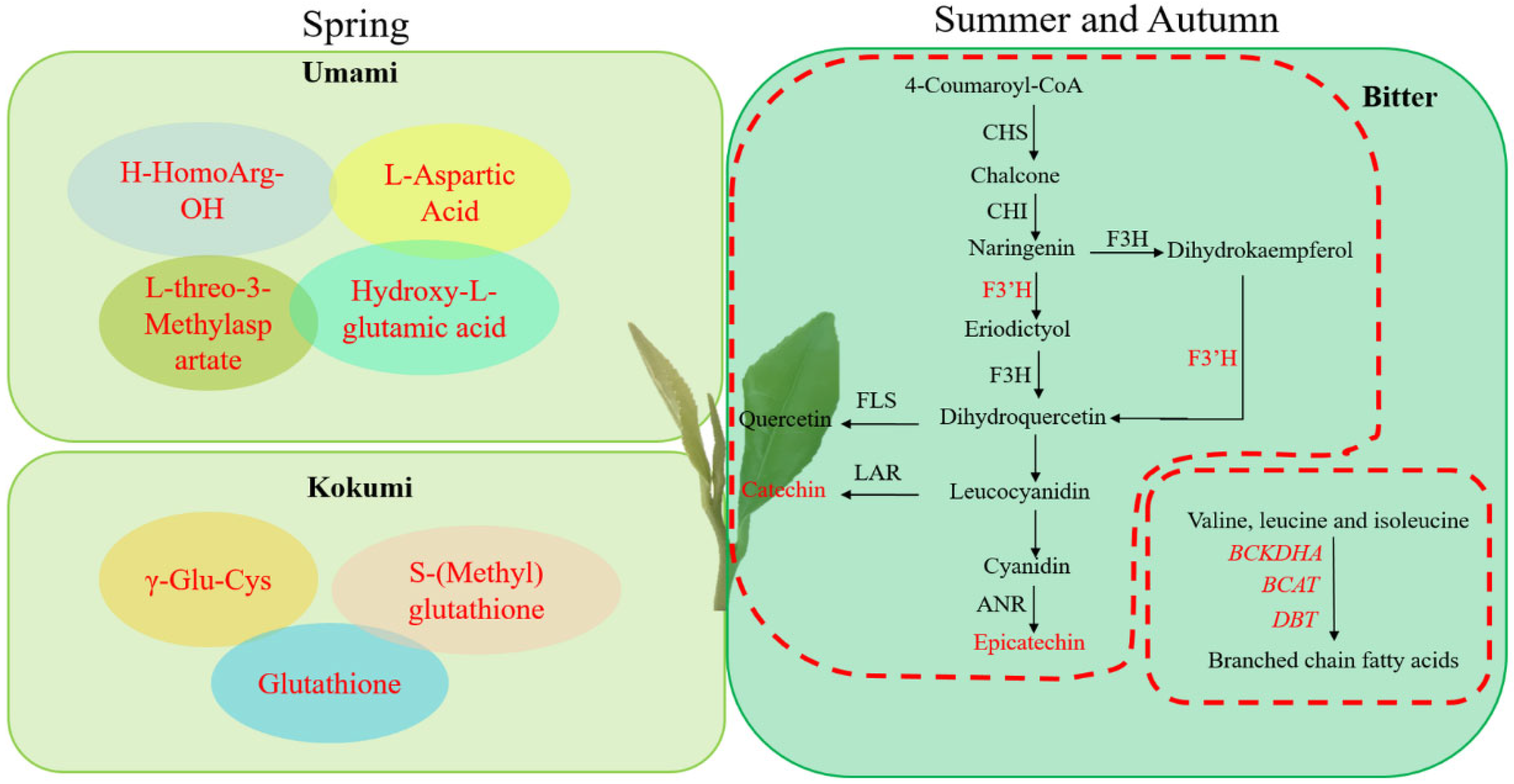Foods 11 02289 g005 550