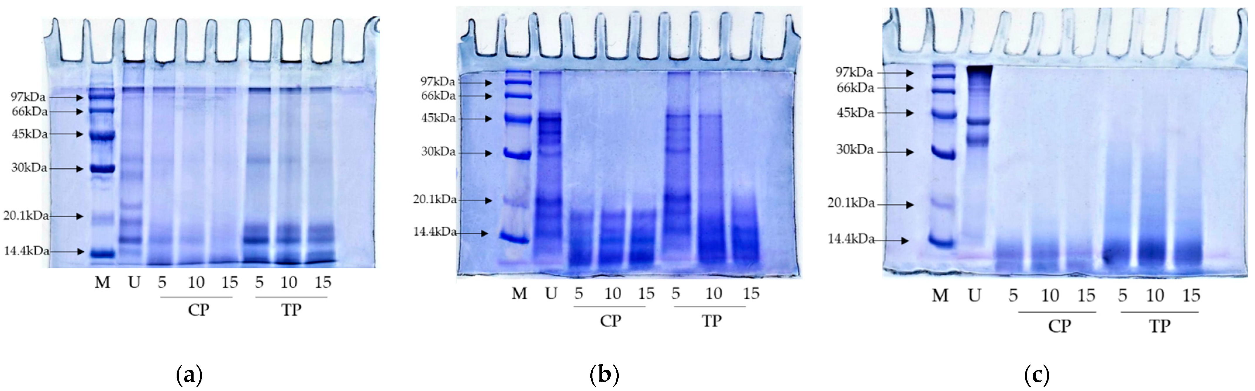 Foods 11 02292 g006 550