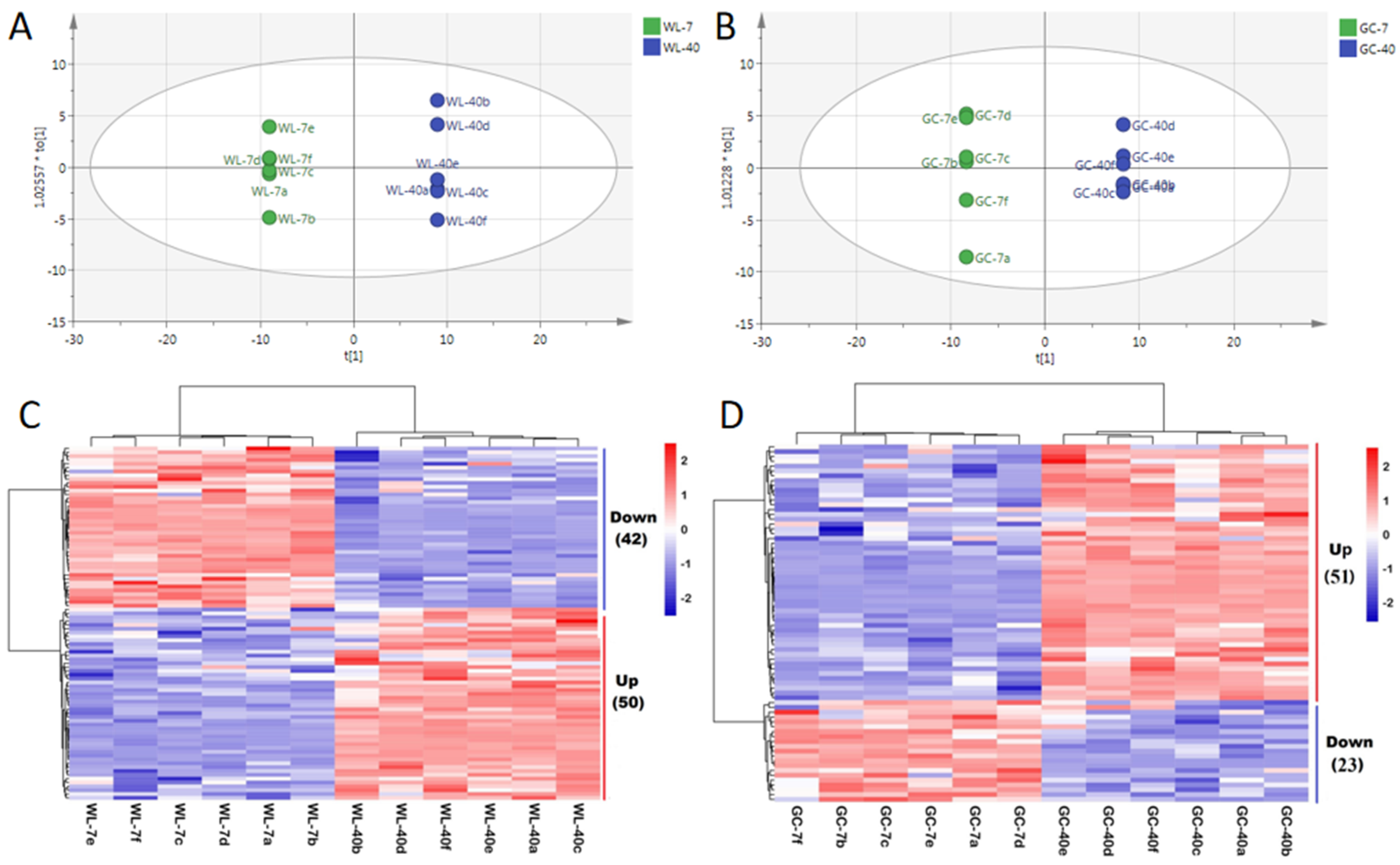 Foods 11 02303 g003 550