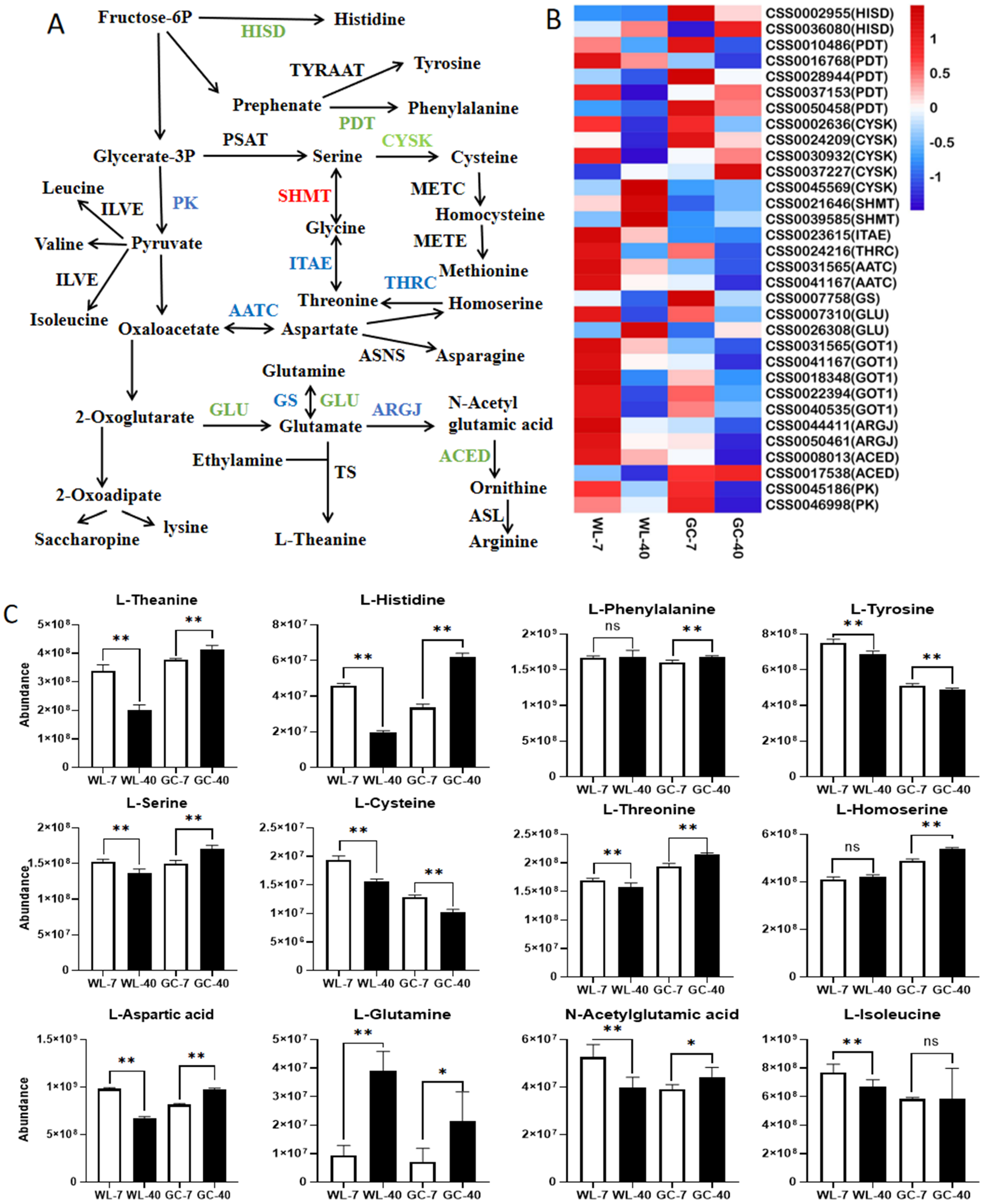 Foods 11 02303 g006 550