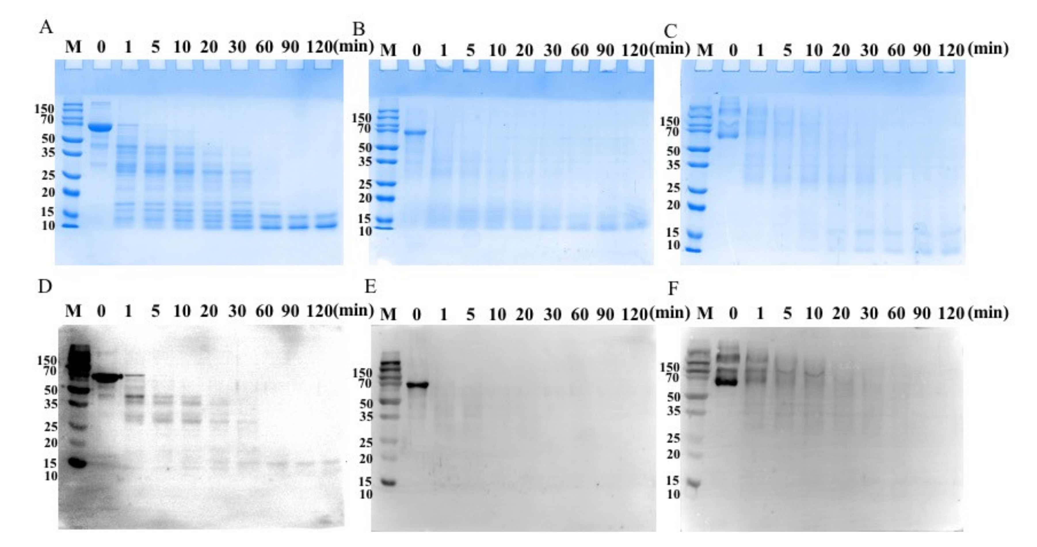 Foods 11 02308 g004 550