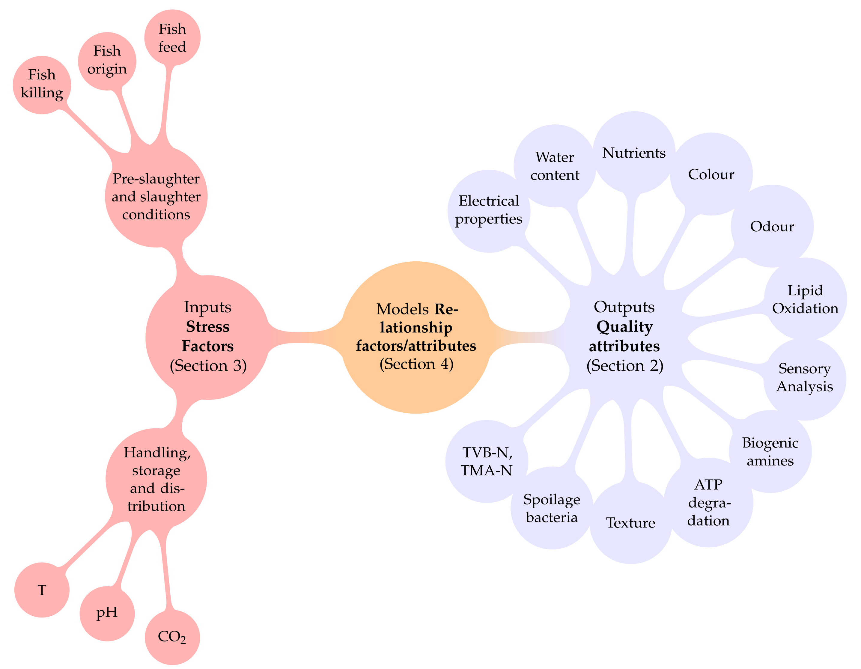 Foods 11 02312 g001 Foods 11 02312 g001