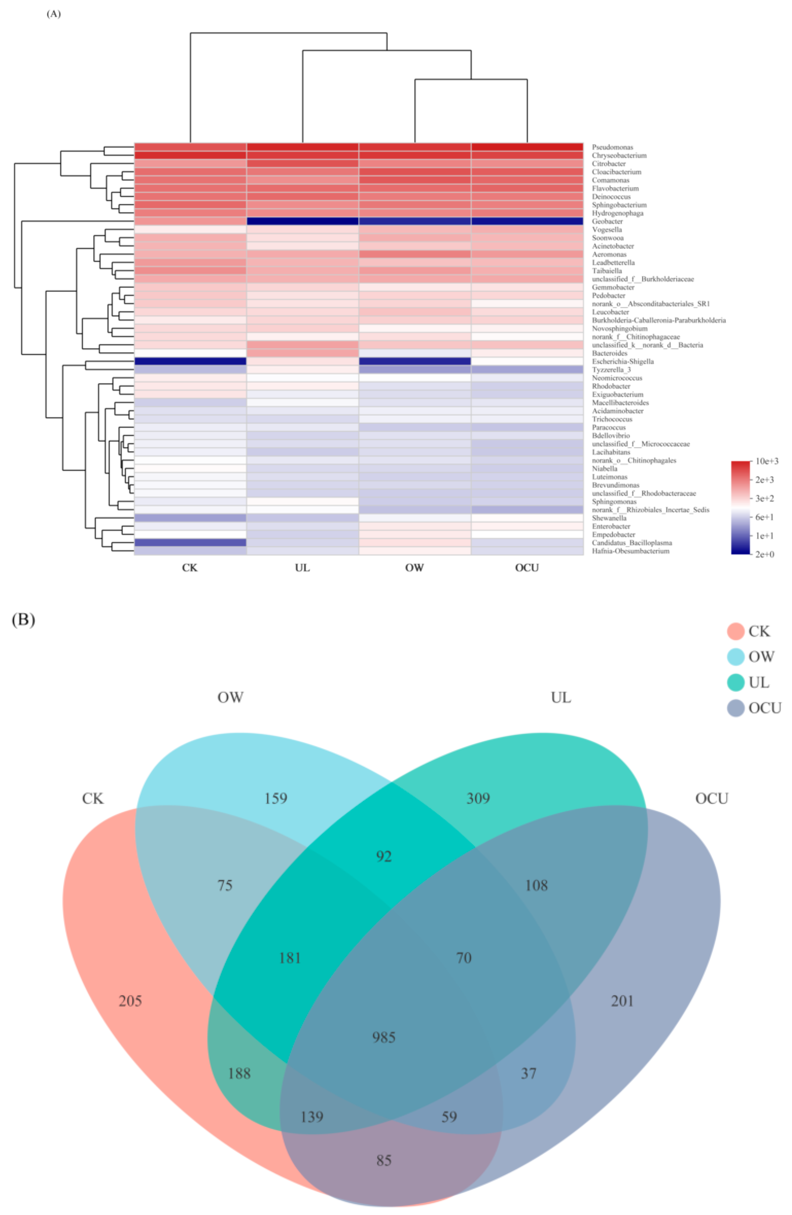 Foods 11 02314 g003a Foods 11 02314 g003a