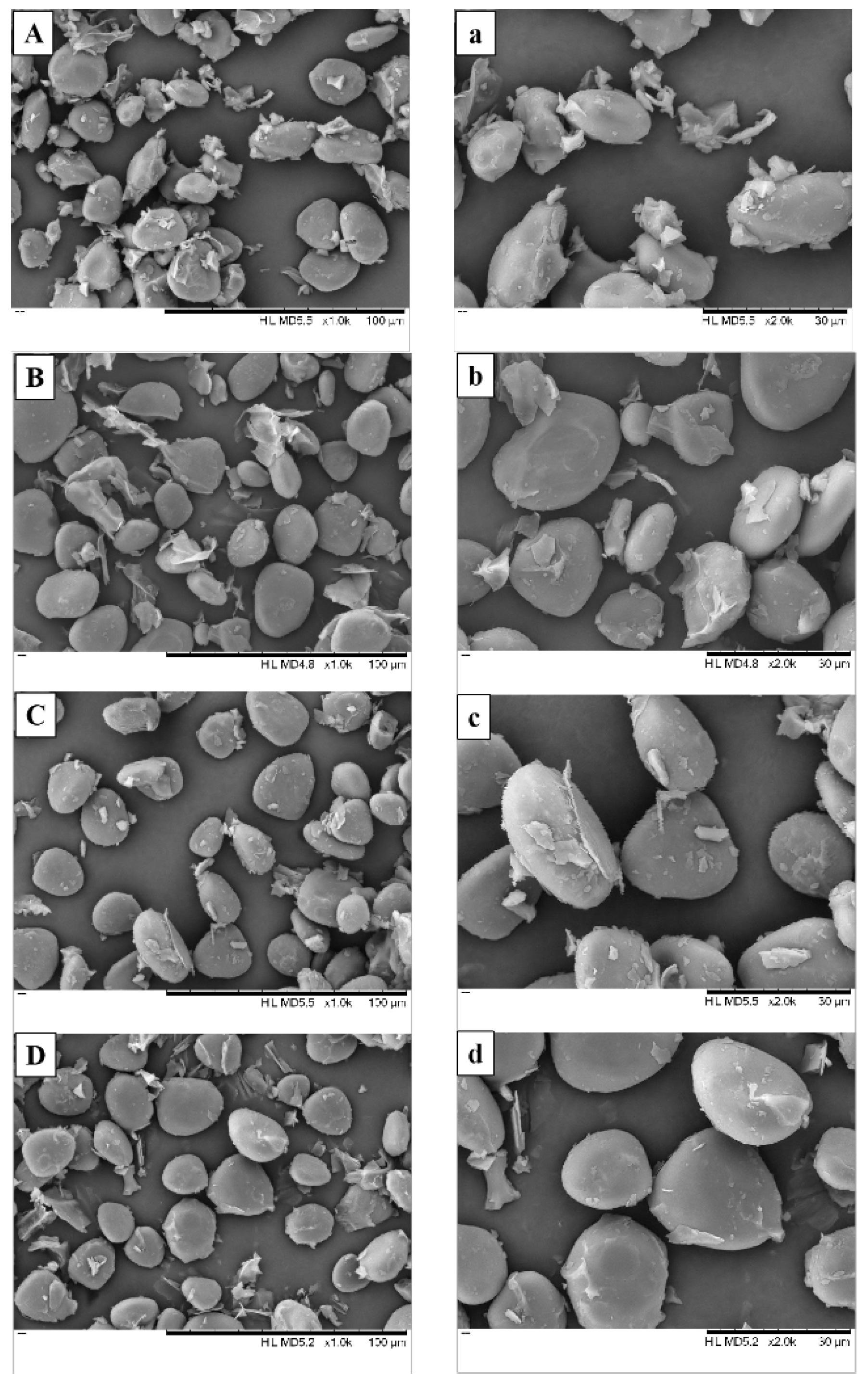 Foods 11 02324 g004 550